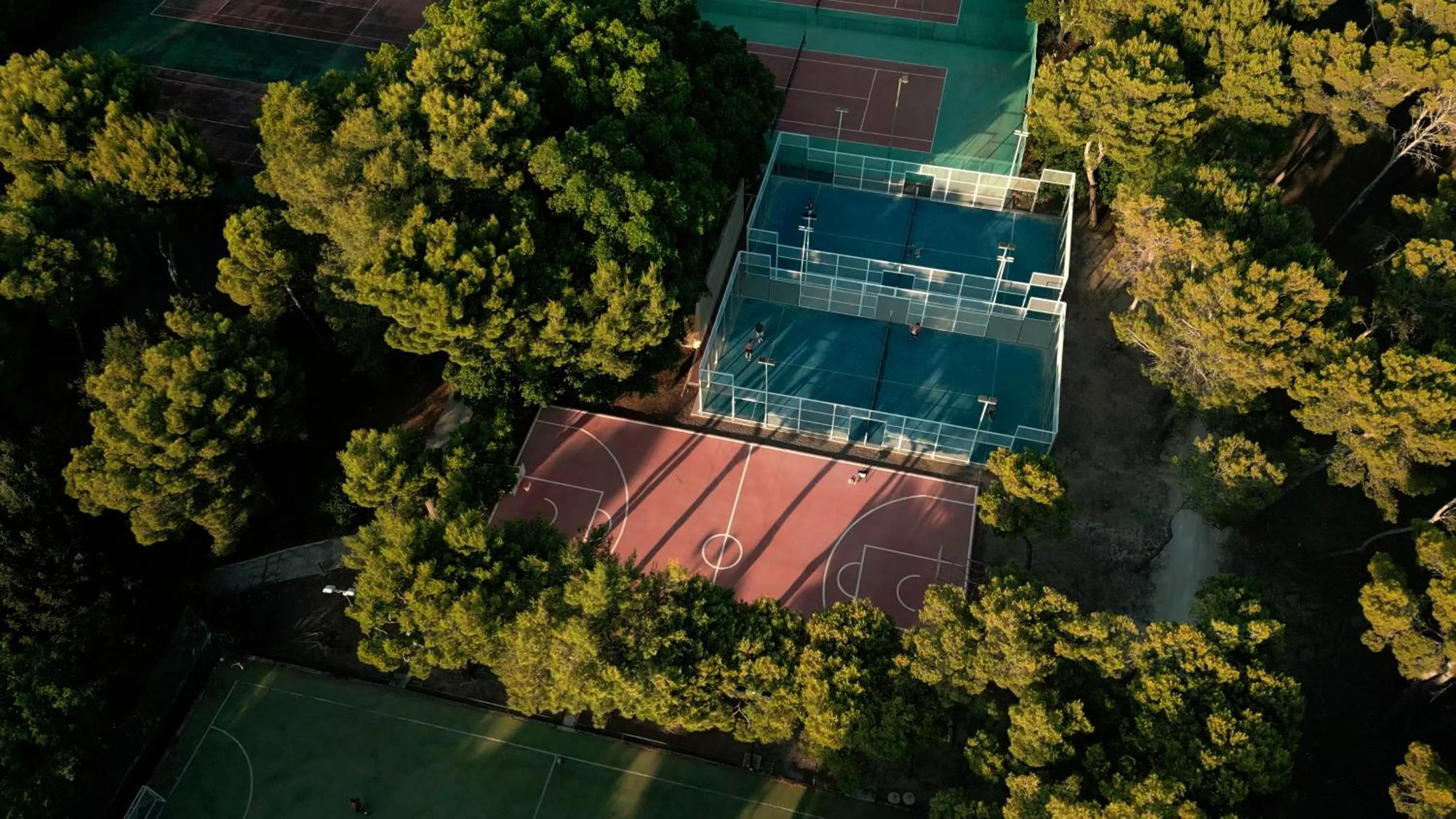 Sports in Mangia's Brucoli, Sicily, Autograph Collection