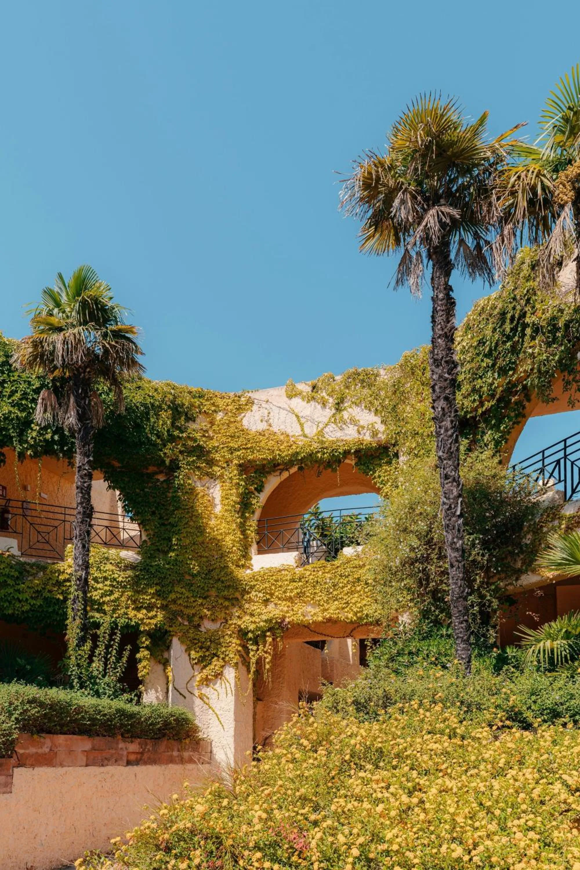 Other in Mangia's Brucoli, Sicily, Autograph Collection