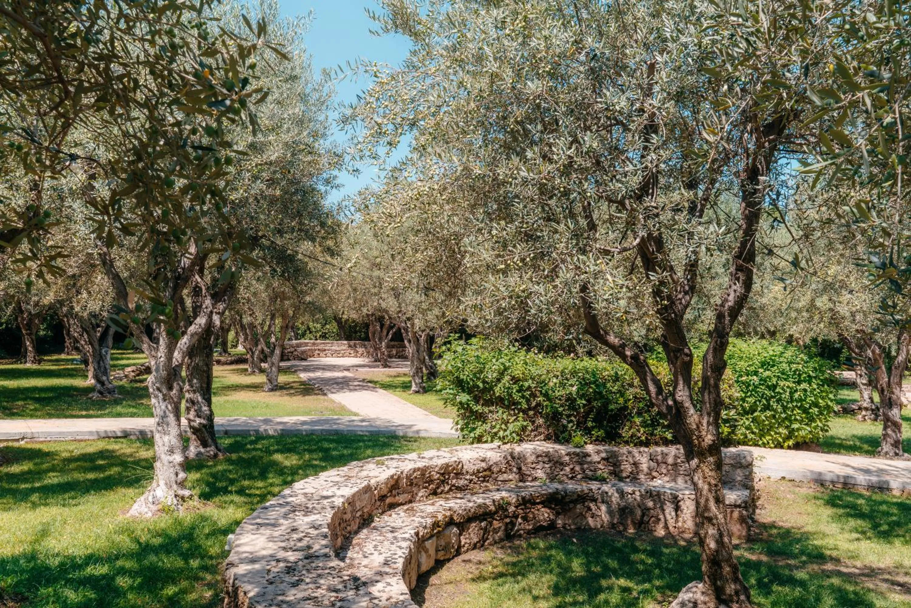 Garden in Mangia's Brucoli, Sicily, Autograph Collection
