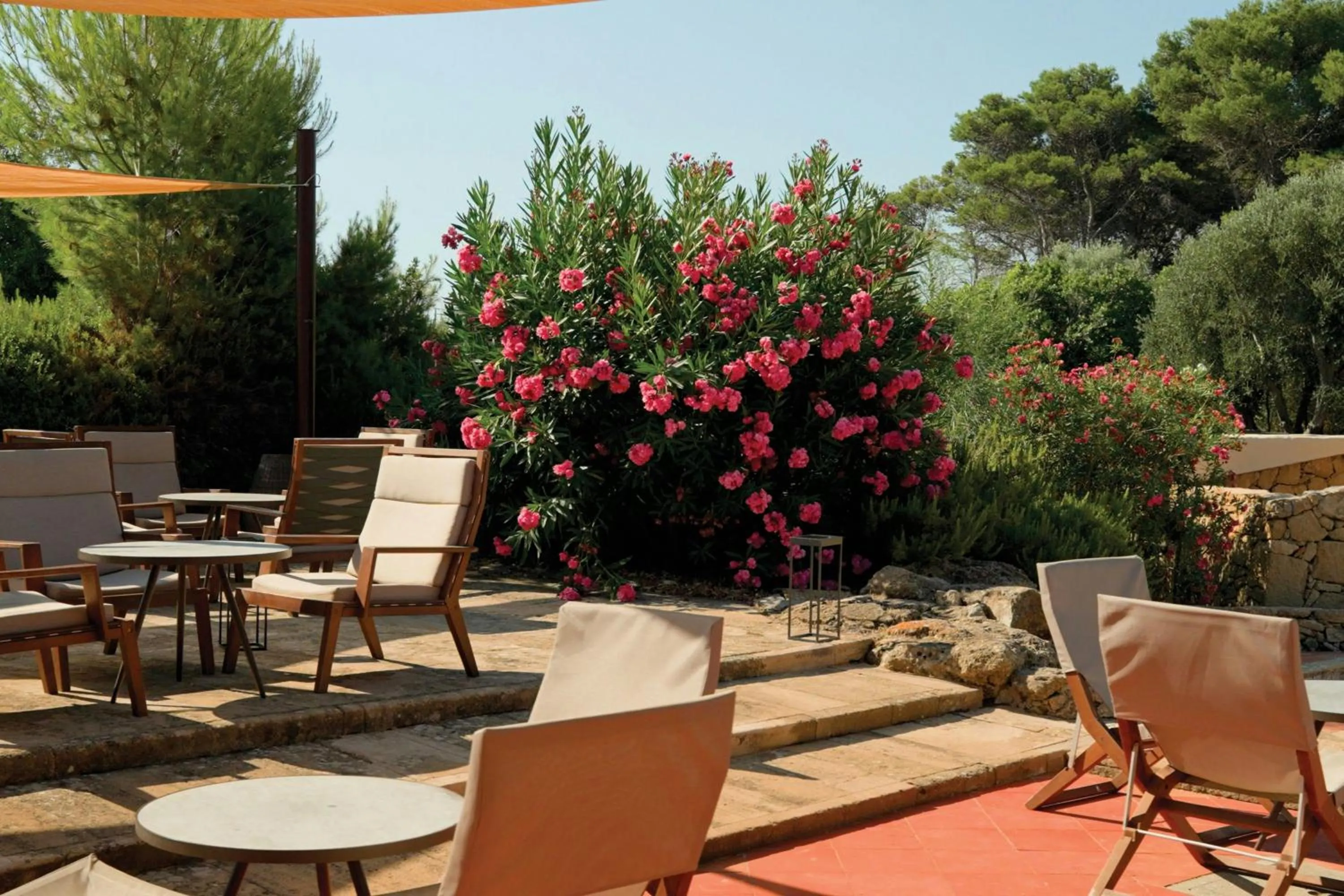 Other in Mangia's Brucoli, Sicily, Autograph Collection