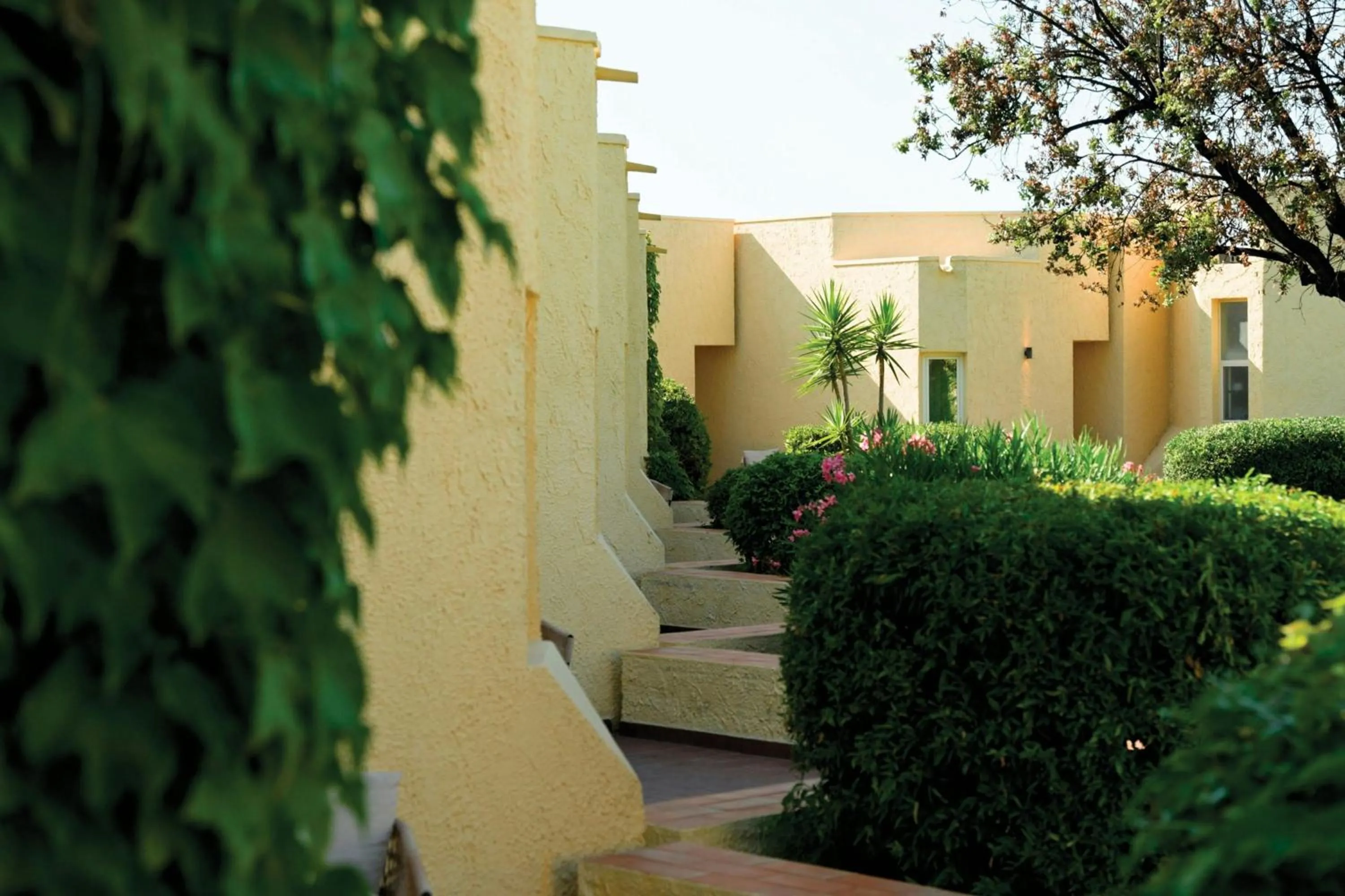 Other in Mangia's Brucoli, Sicily, Autograph Collection