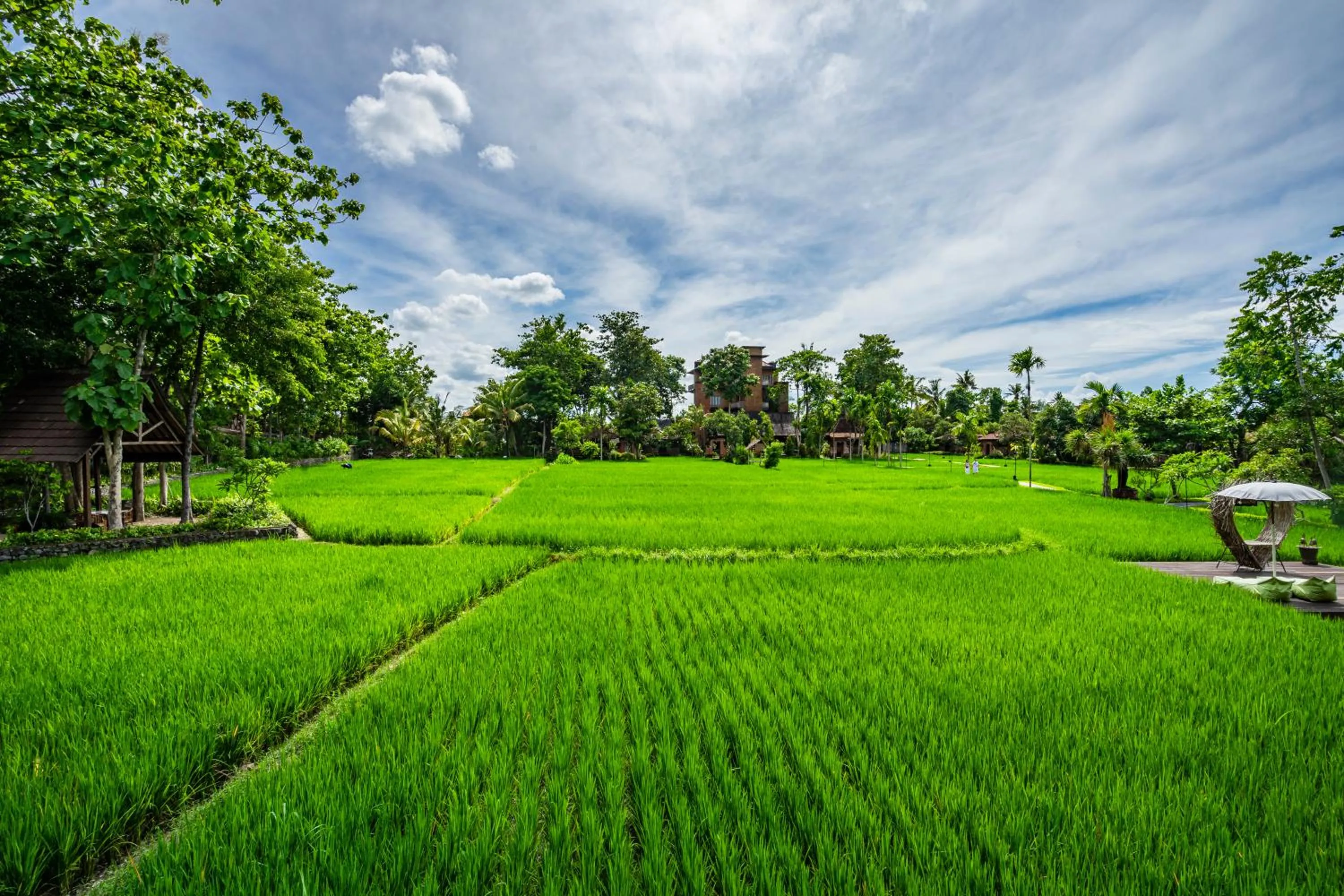Garden in KajaNe Yangloni at Ubud Bali