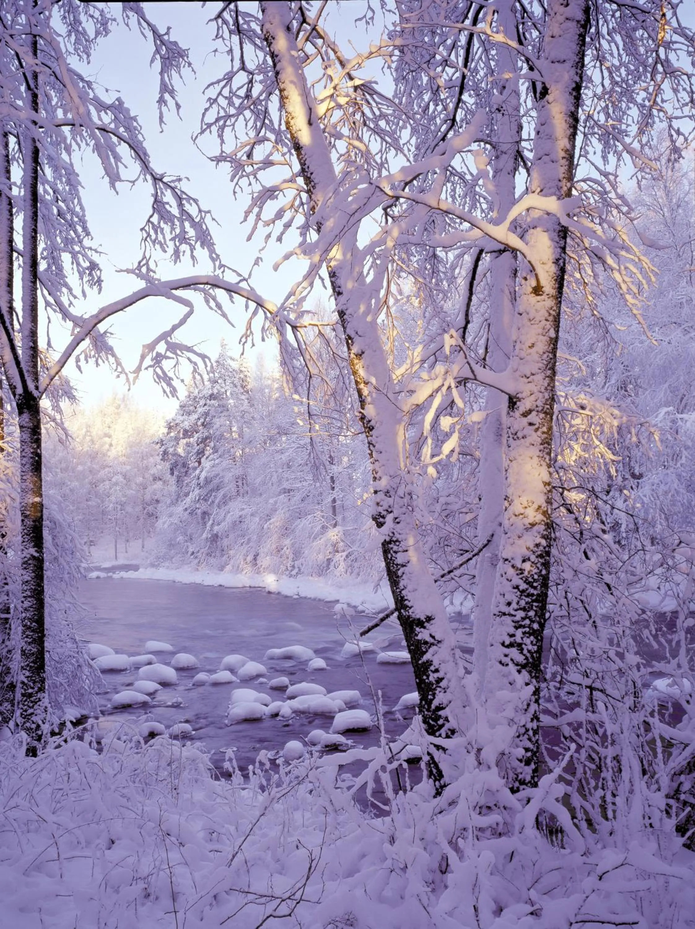 Natural landscape in Tundrea Holiday Resort