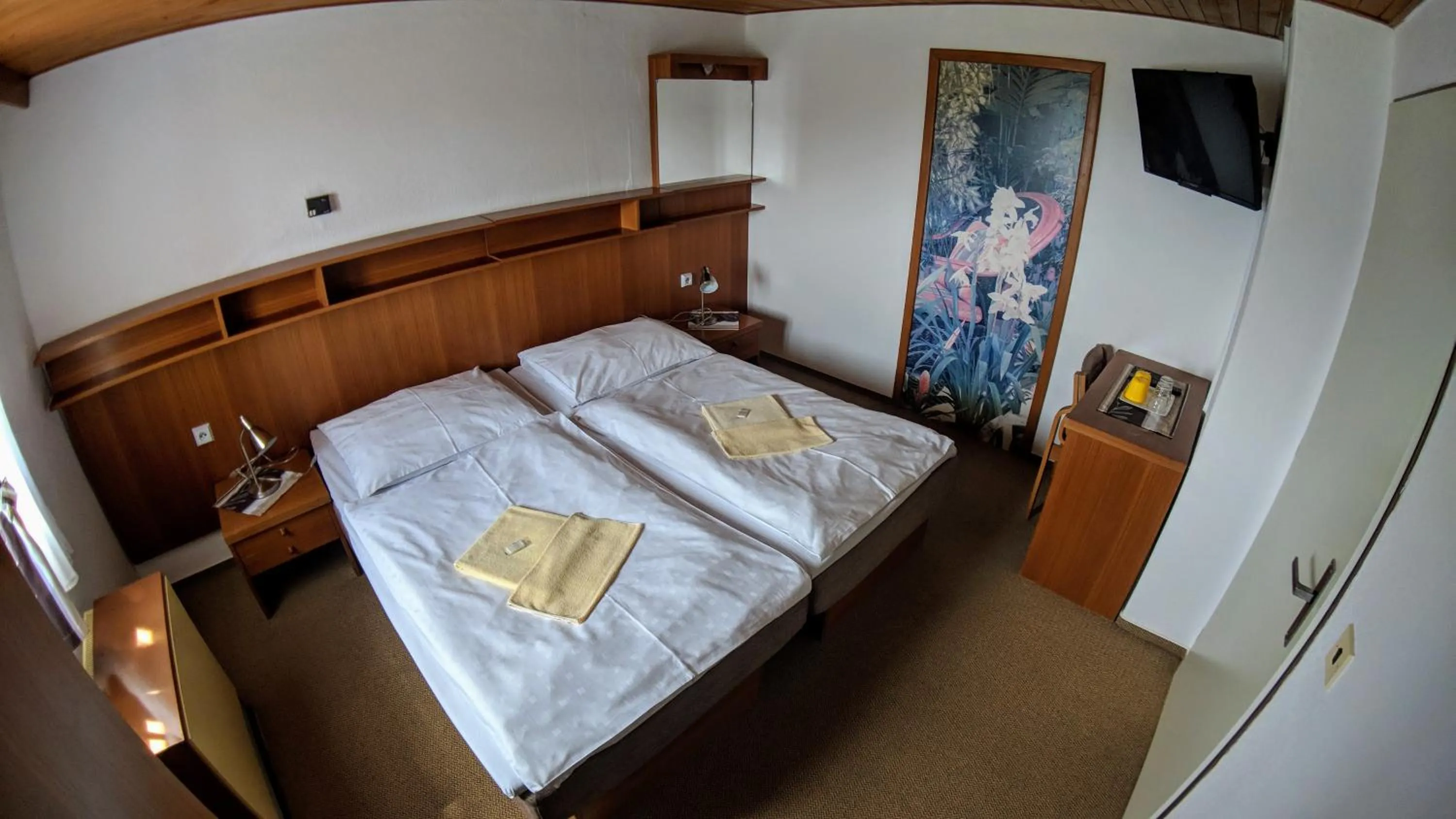 Double Room with Mountain View in Hotel Bouda Jana