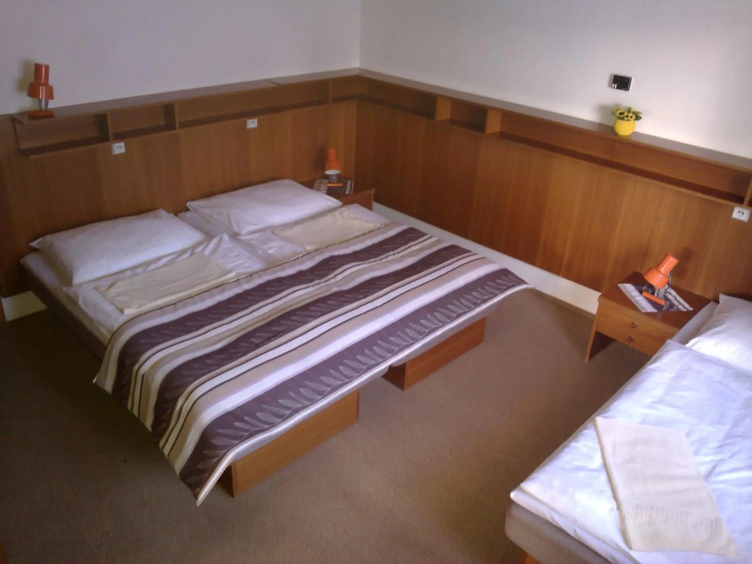 Suite with Mountain View in Hotel Bouda Jana