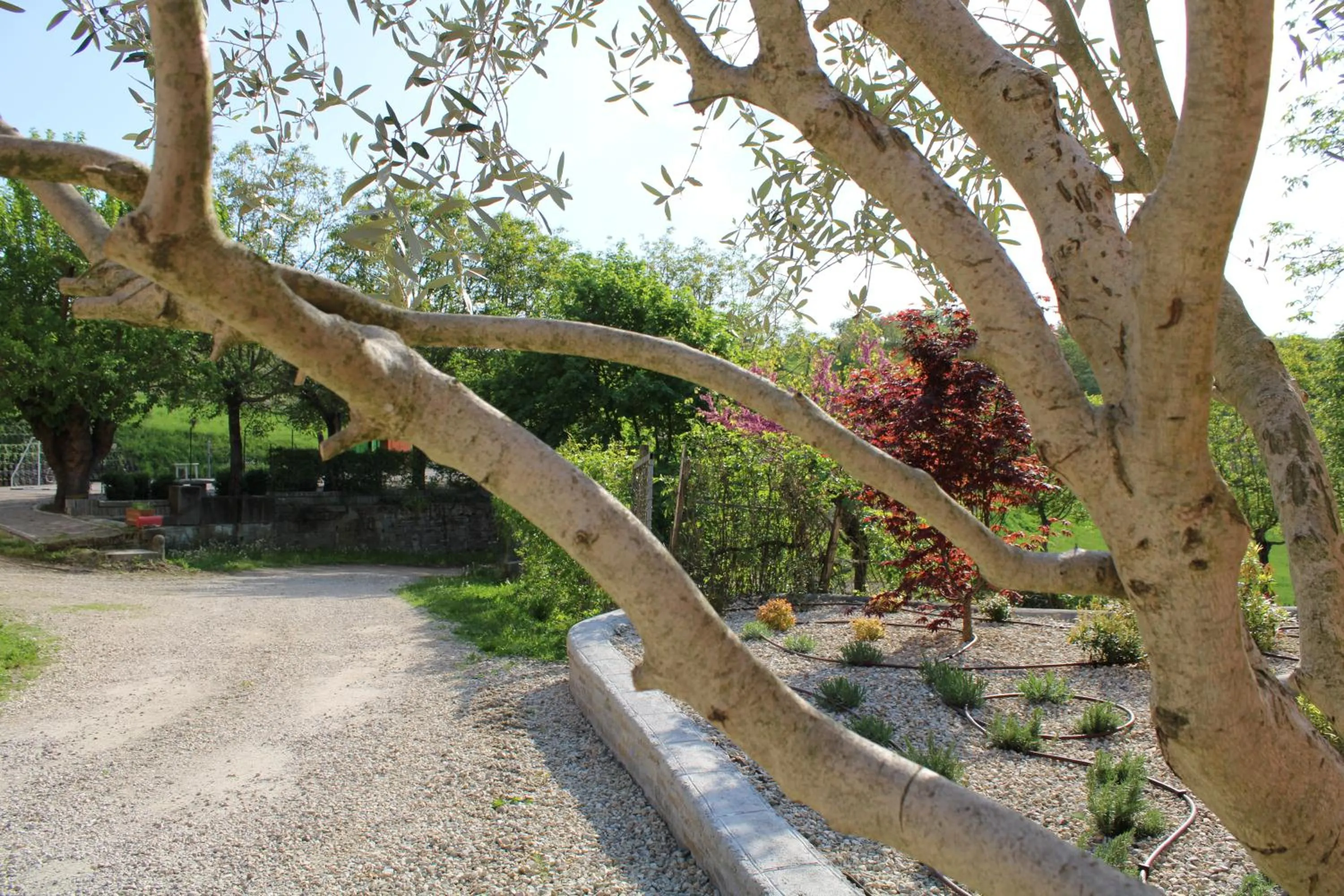 Agriturismo La Mussia