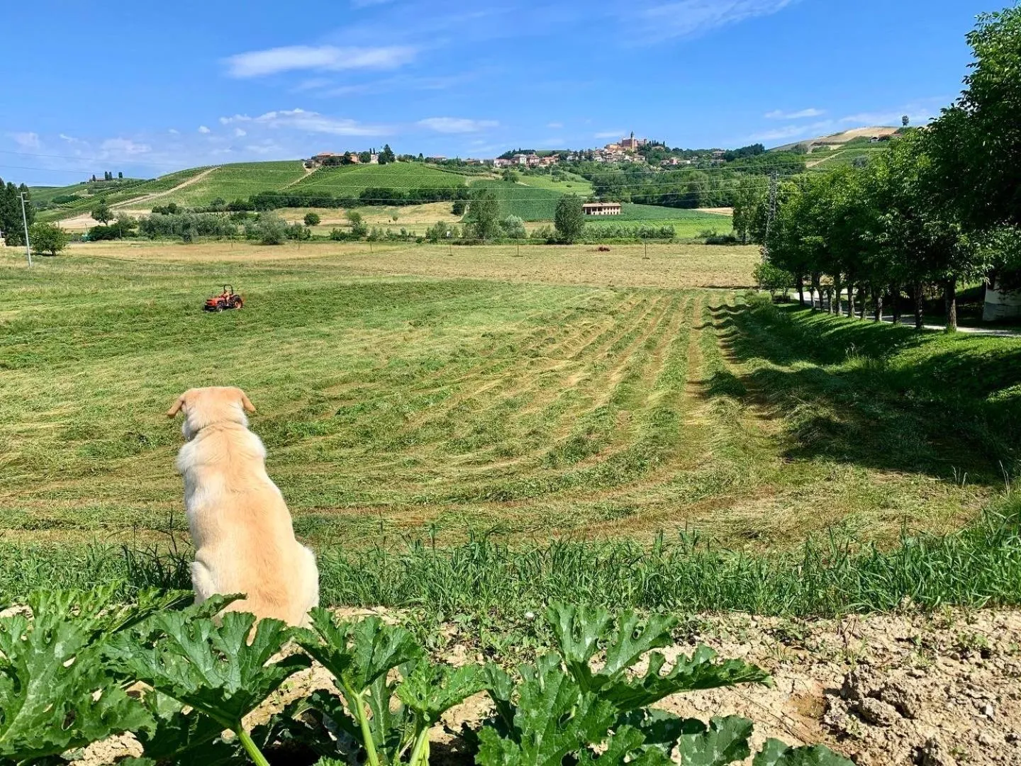 Natural landscape in Agriturismo La Mussia