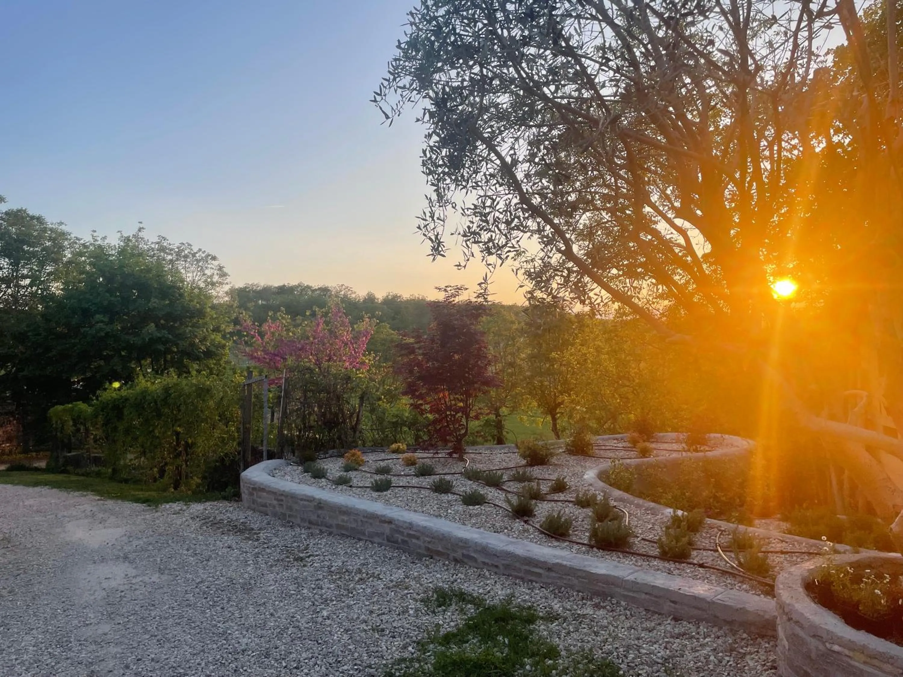 Agriturismo La Mussia