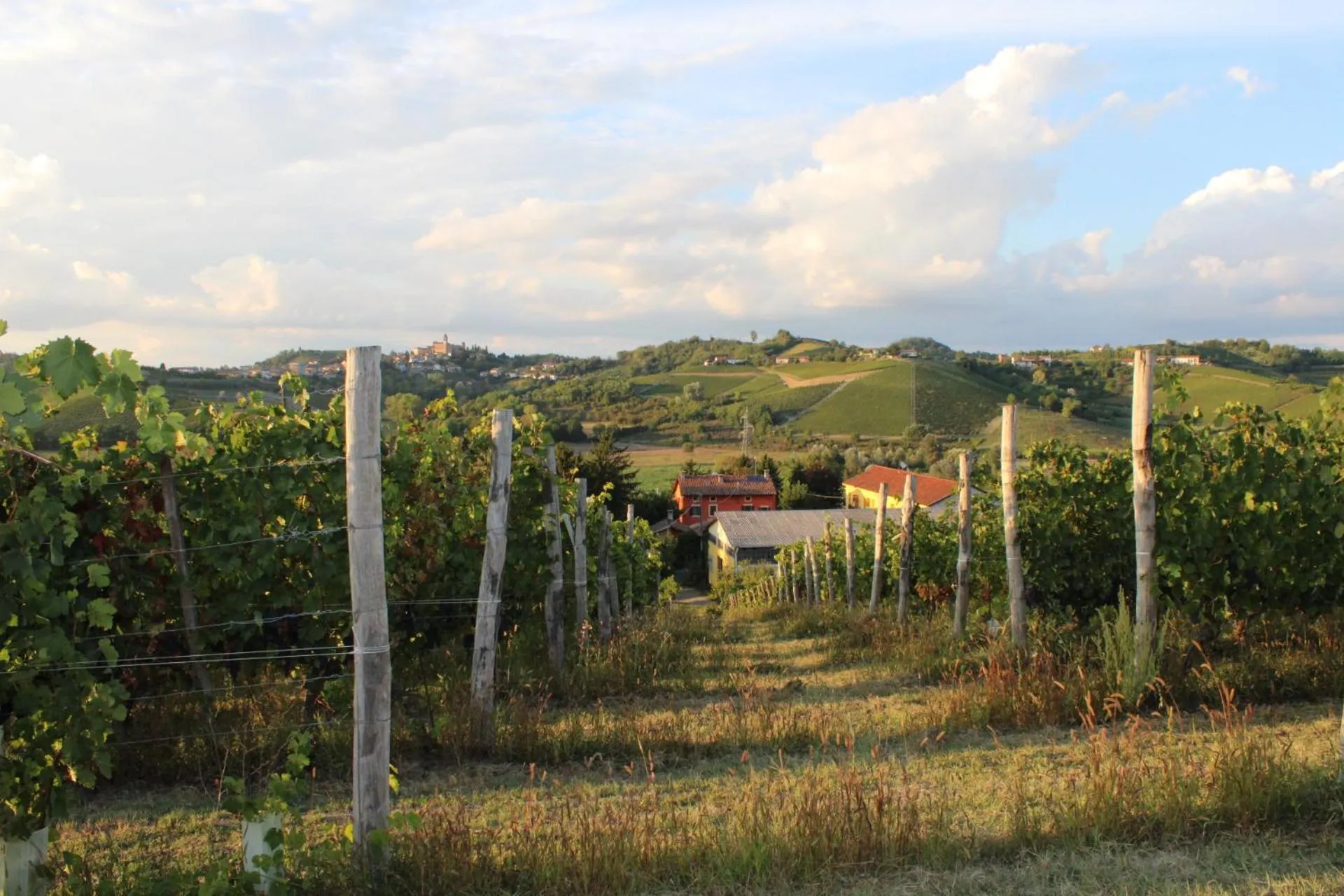 Neighbourhood in Agriturismo La Mussia