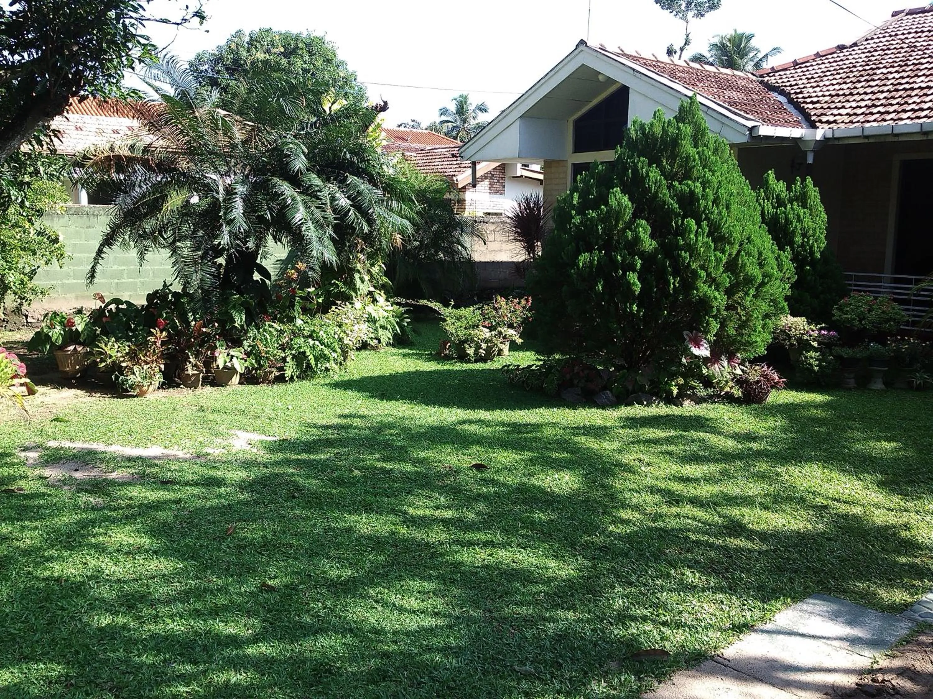 Garden view in Mama's Hostel by Taprobane