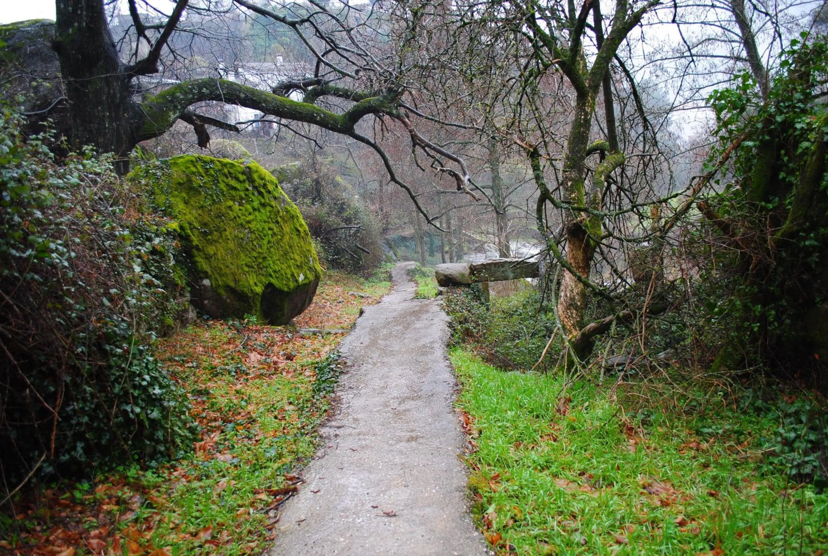 Area and facilities in Hotel Barbacedo