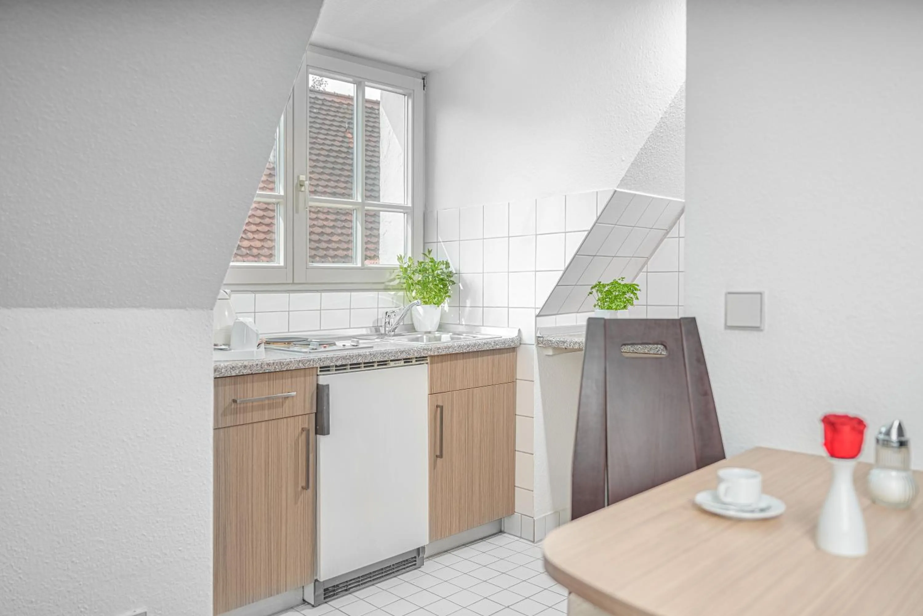 Kitchen or kitchenette in Apart Business Hotel
