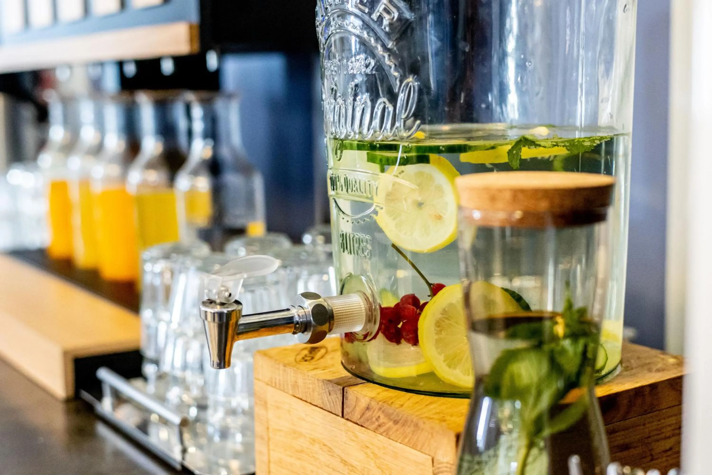 Breakfast in Lenas Donau Hotel