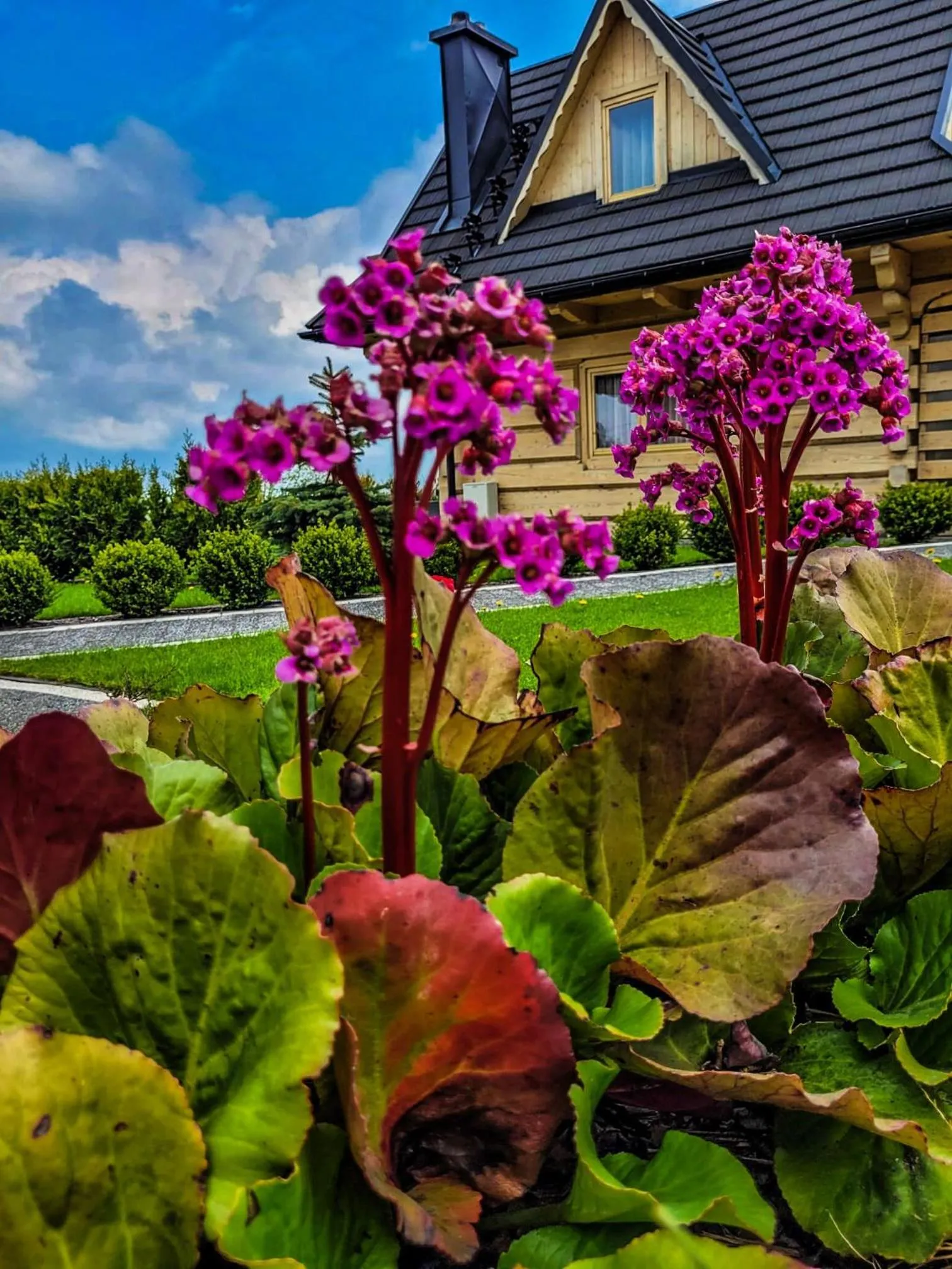 Garden in Domki Górskie Janosik, Kwicoł i Pyzdra Jacuzzi, Sauna