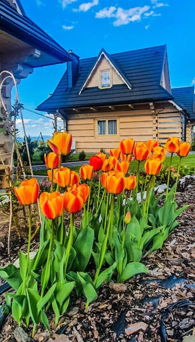 Garden in Domki Górskie Janosik, Kwicoł i Pyzdra Jacuzzi, Sauna