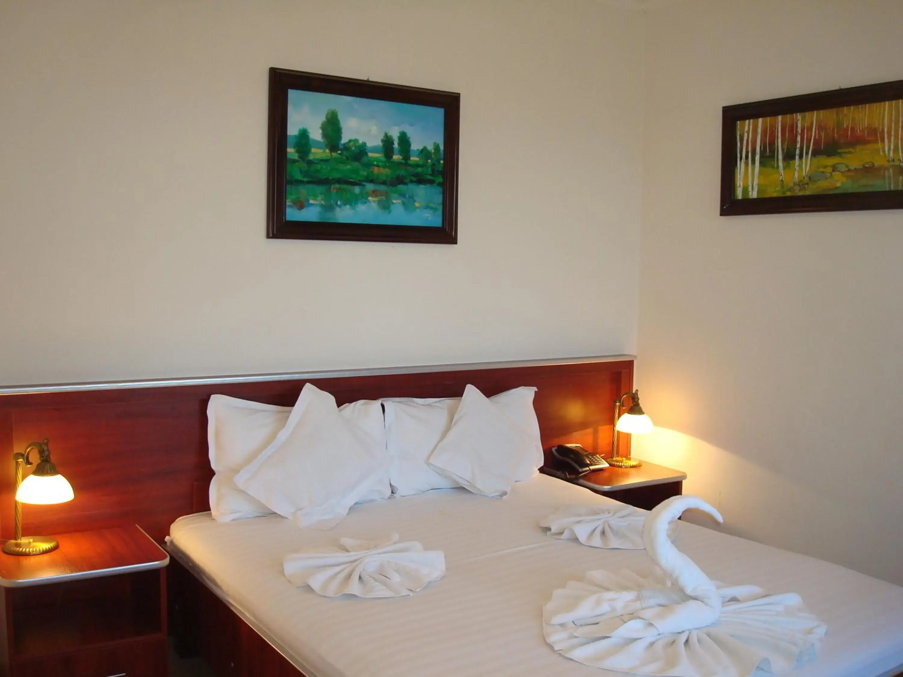 Standard Double Room - single occupancy in Hotel Ami Standard Double Room - single occupancy in Hotel Ami