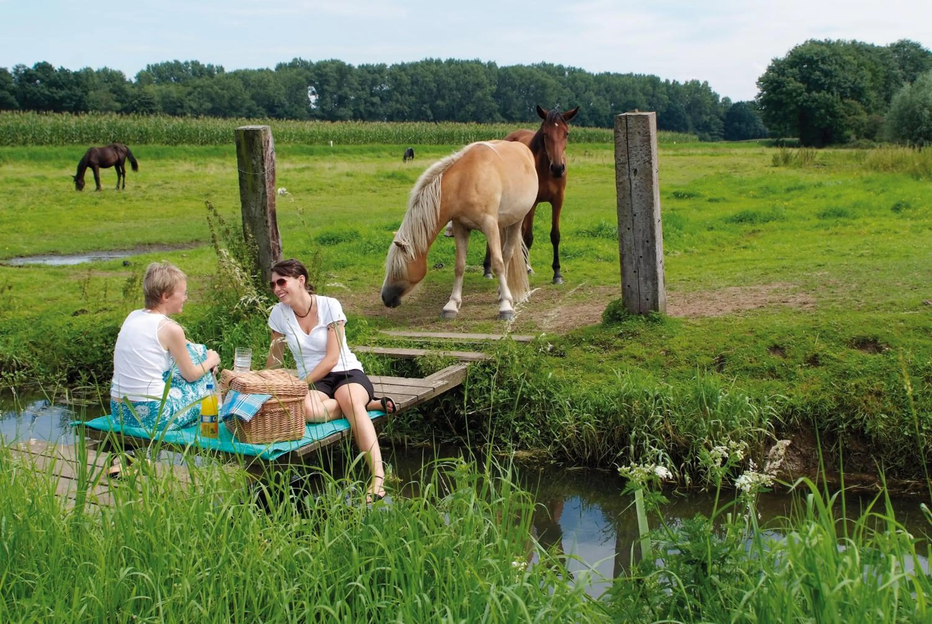 Natural landscape in Wellings Parkhotel