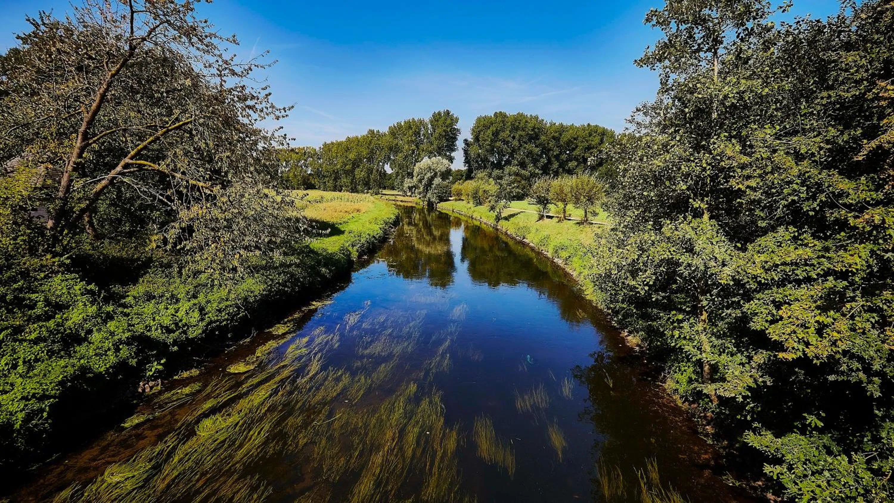 Cycling in Wellings Parkhotel