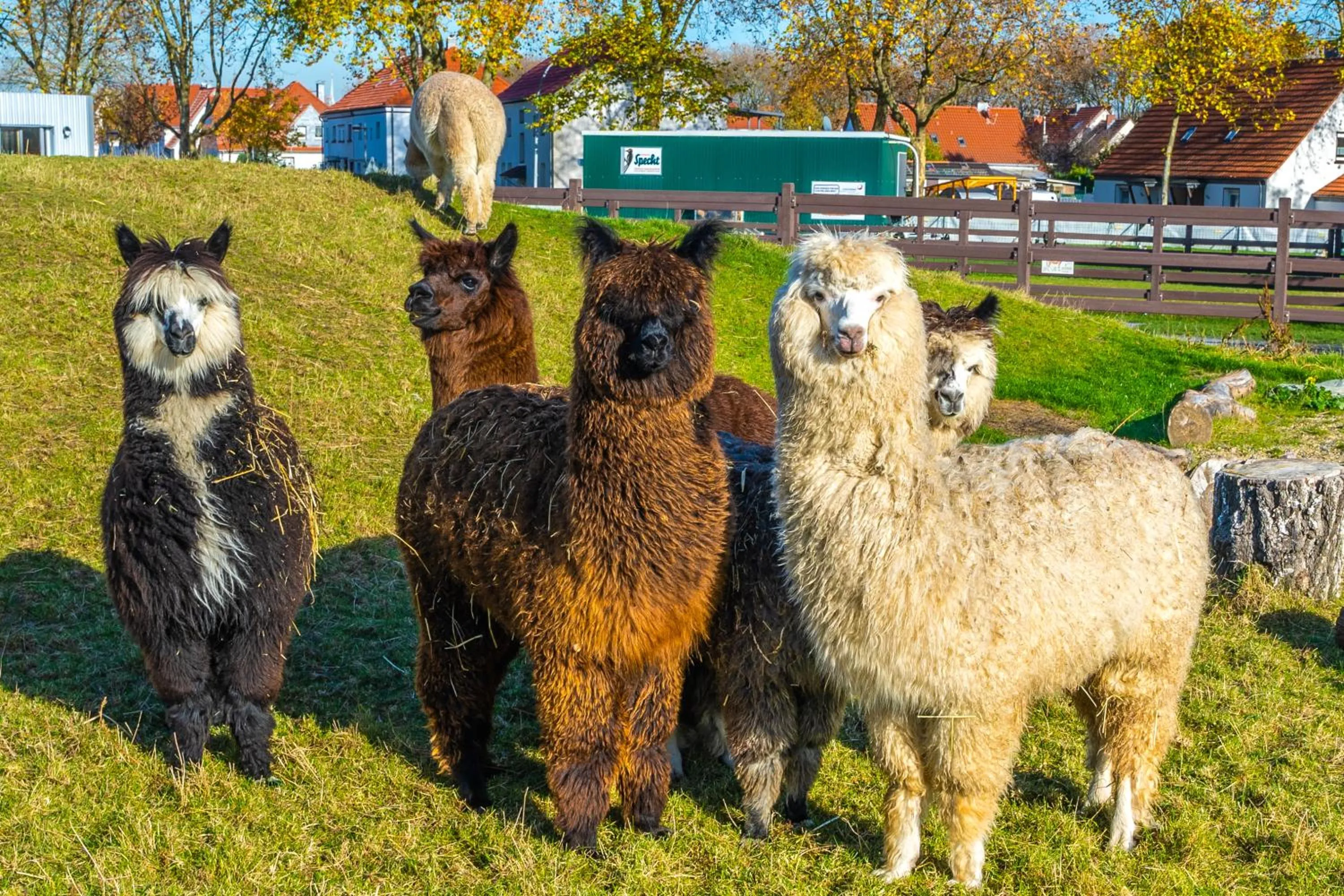 Hiking in Wellings Parkhotel