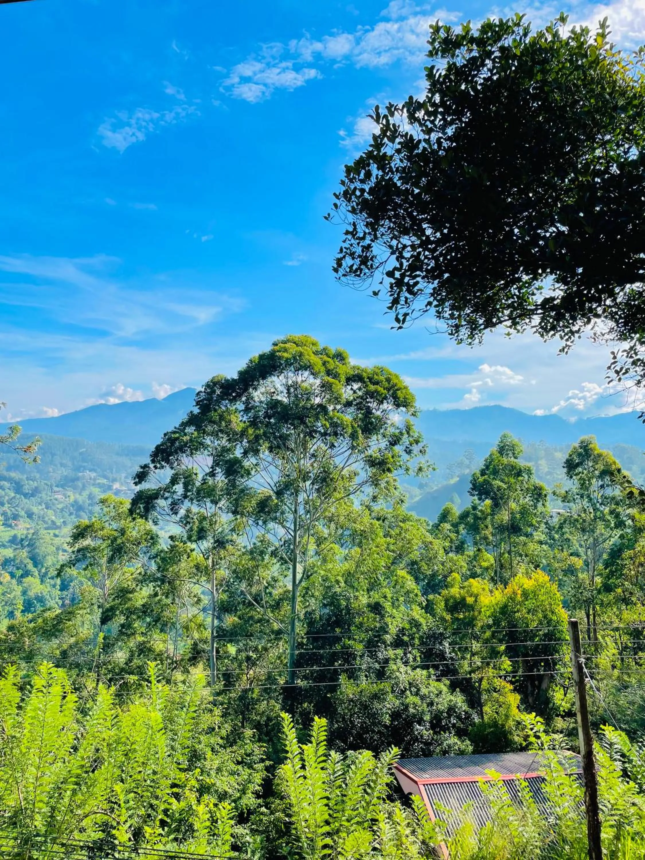 View (from property/room) in Pleasant View Ella