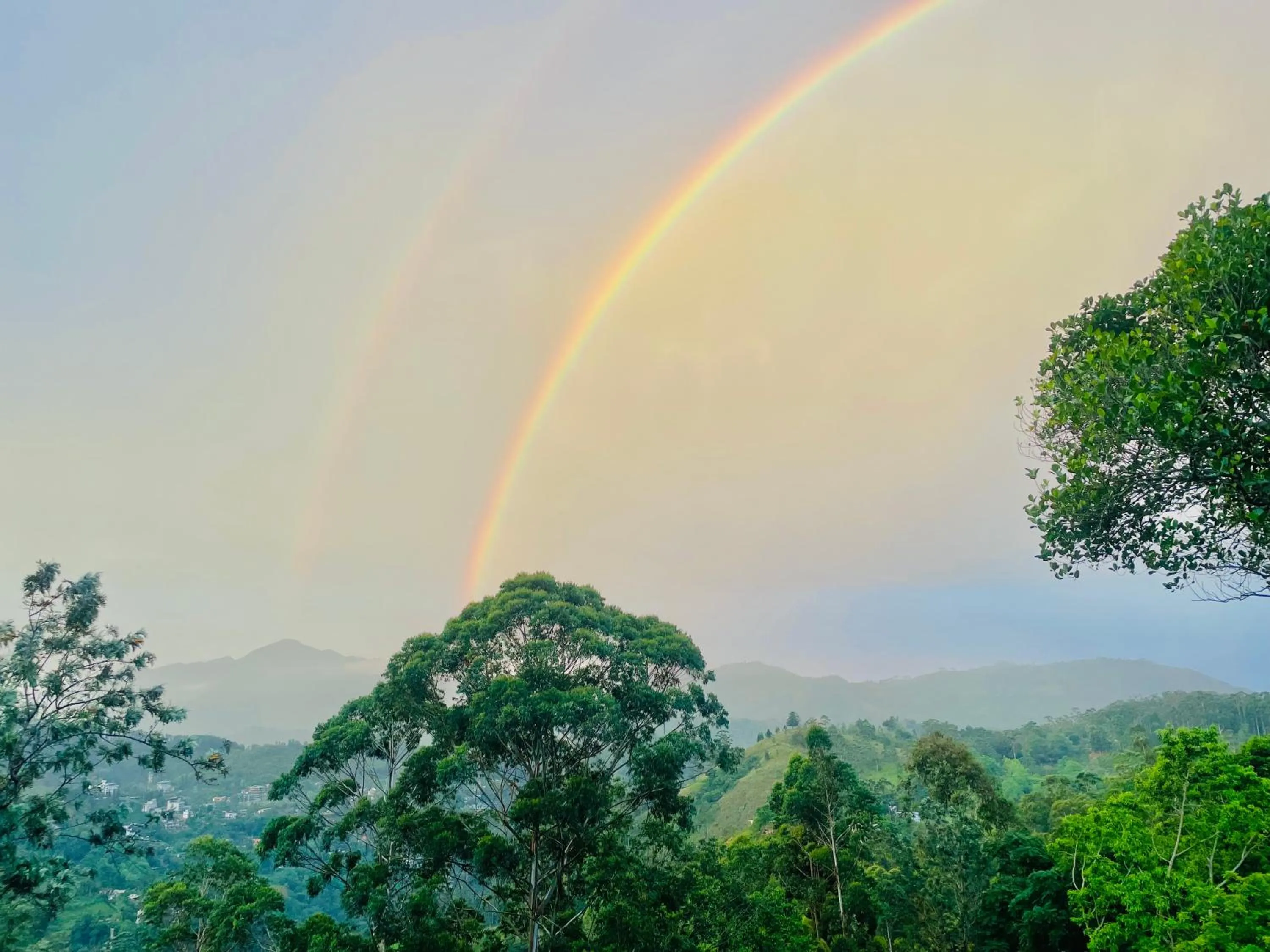 Natural landscape in Pleasant View Ella