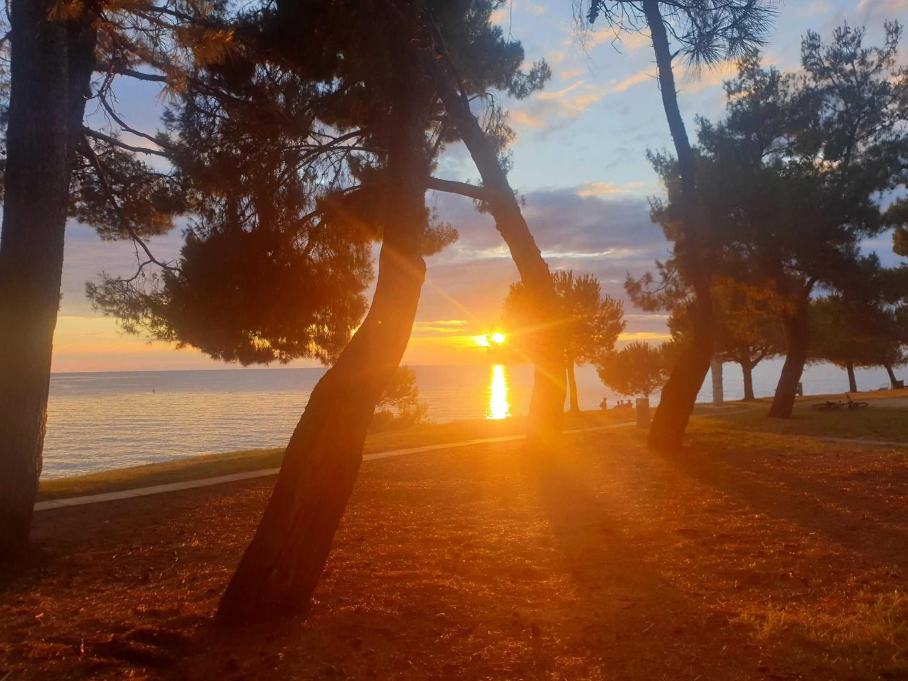 Beach in Family Bungalow Pineta
