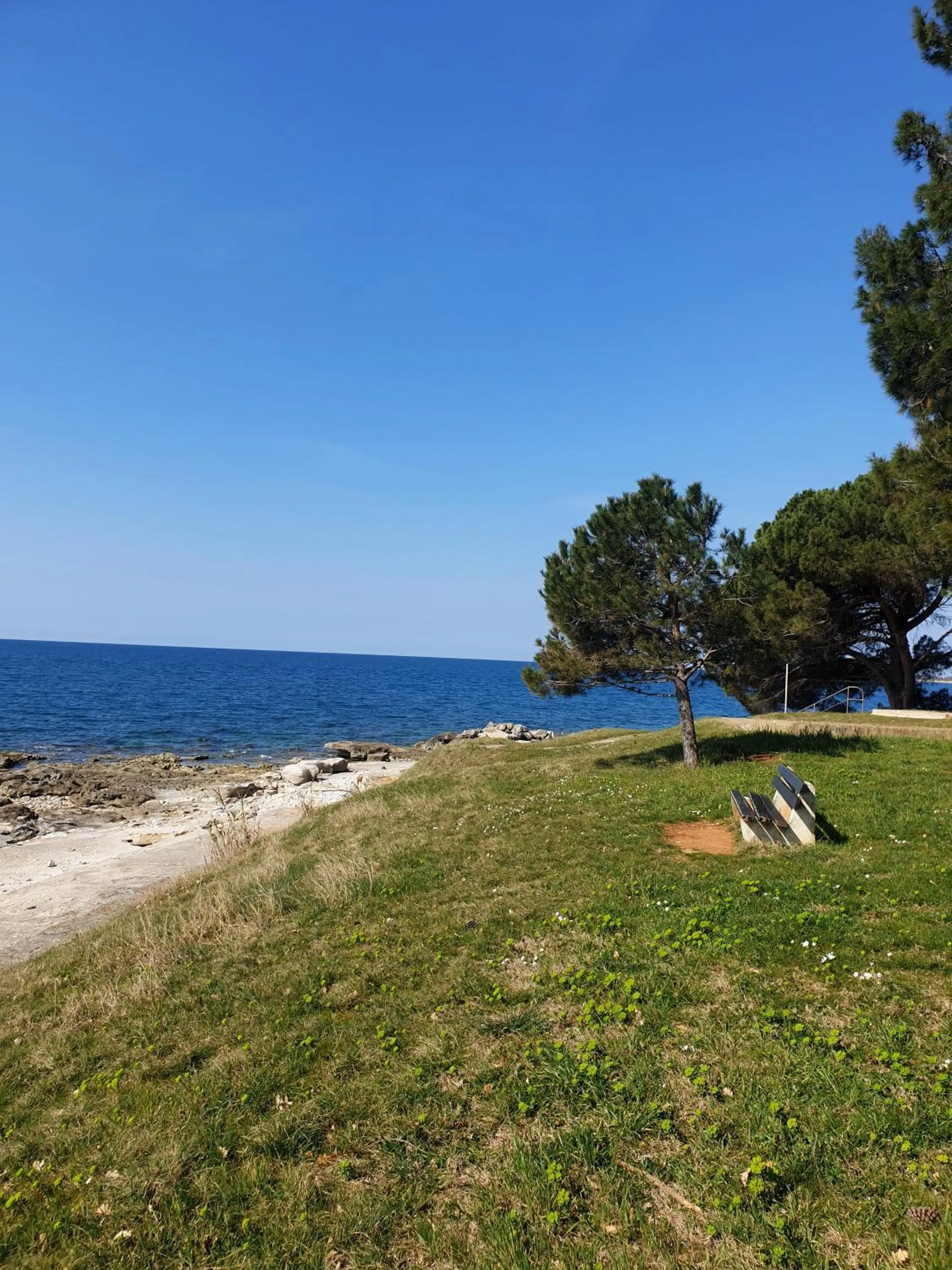 Natural landscape in Family Bungalow Pineta