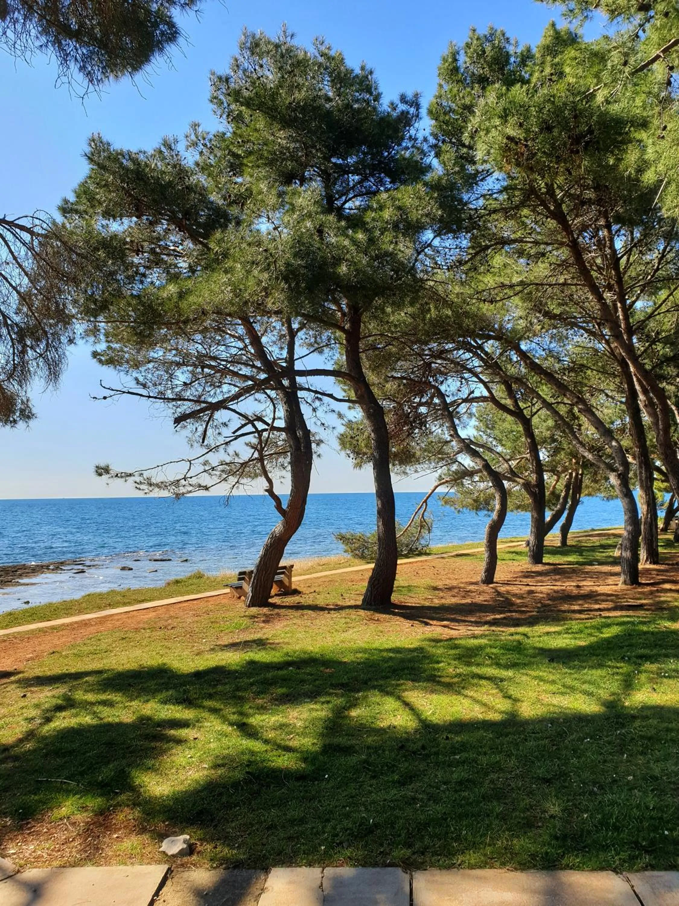 Natural landscape in Family Bungalow Pineta