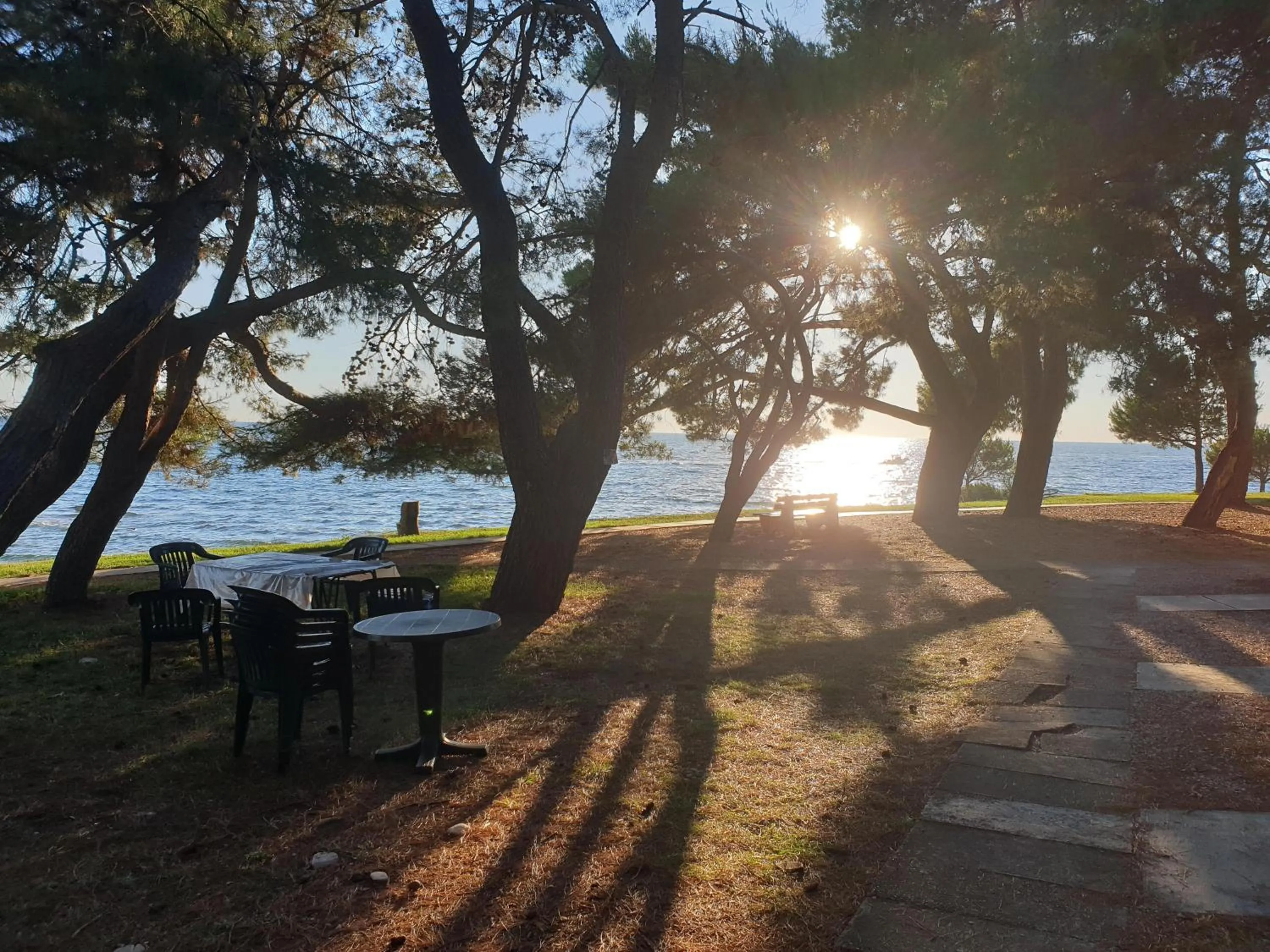 Location in Family Bungalow Pineta