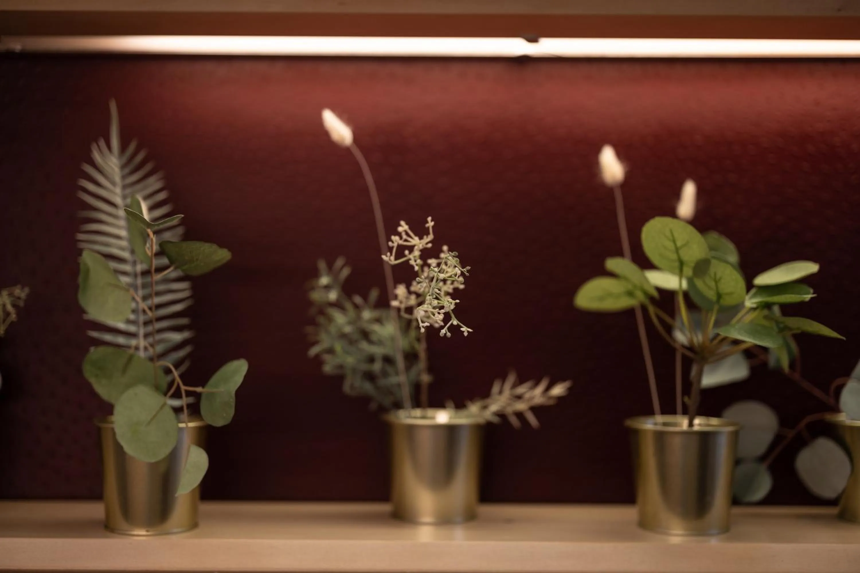 Other in Seminar & Urlaubshotel Oststeirischer Hof Söchau