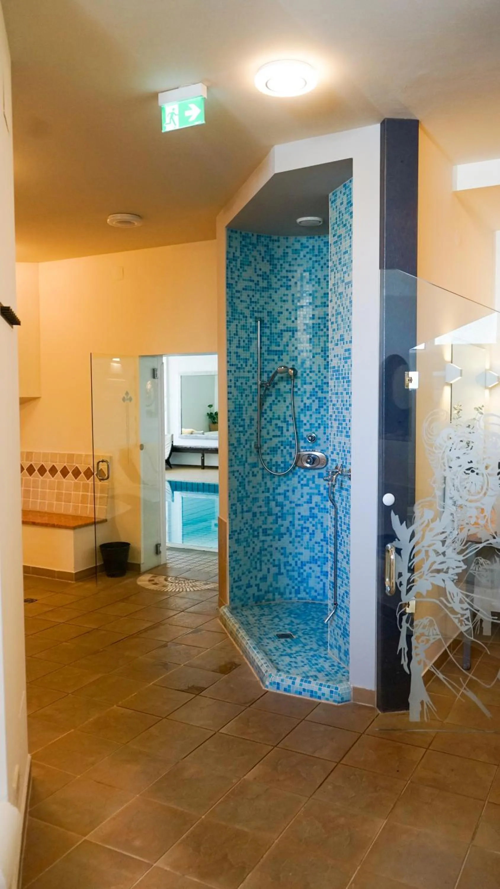 Swimming pool in Hotel Landliebe