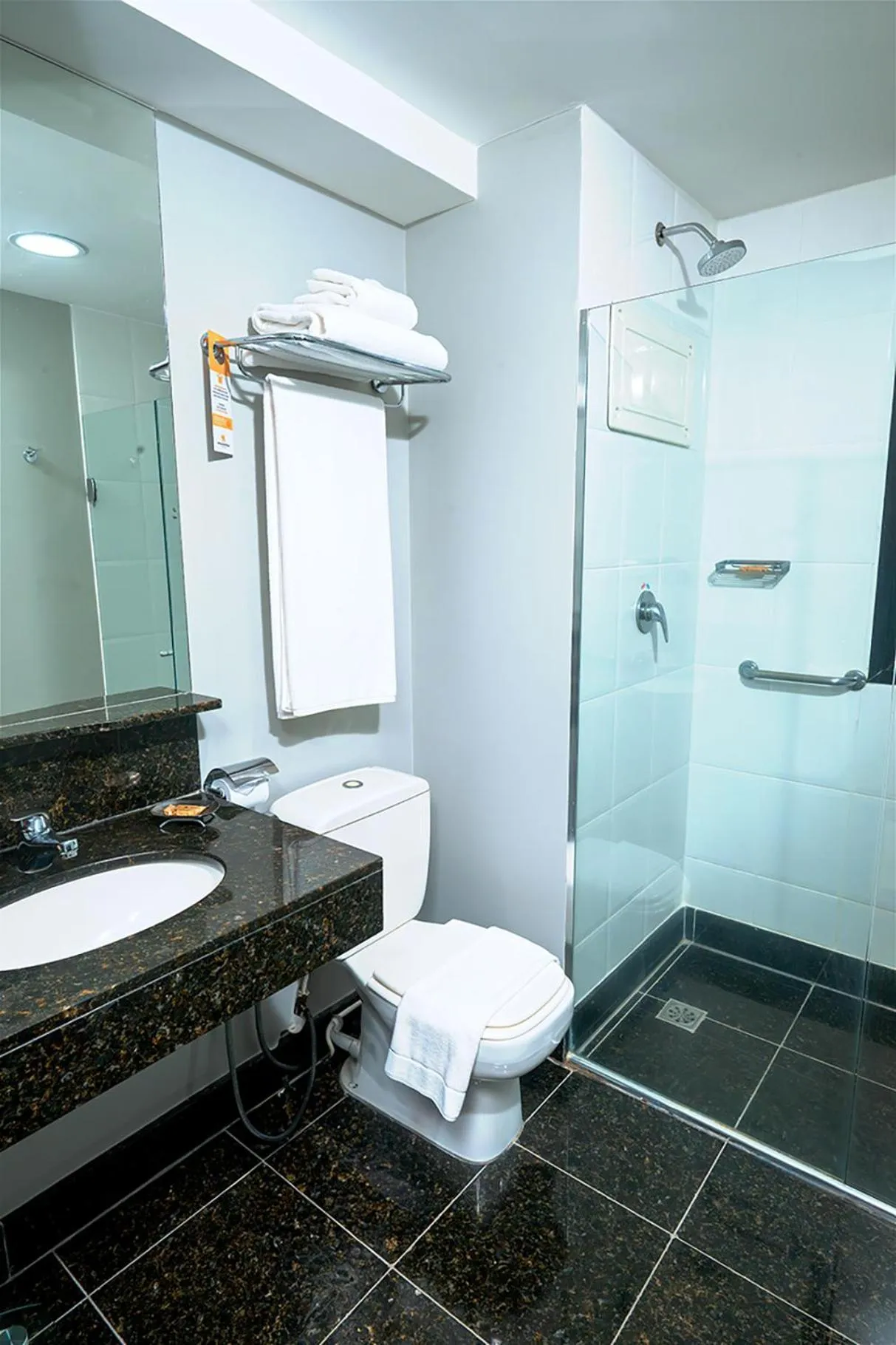 Shower in Royal Collection Paulista