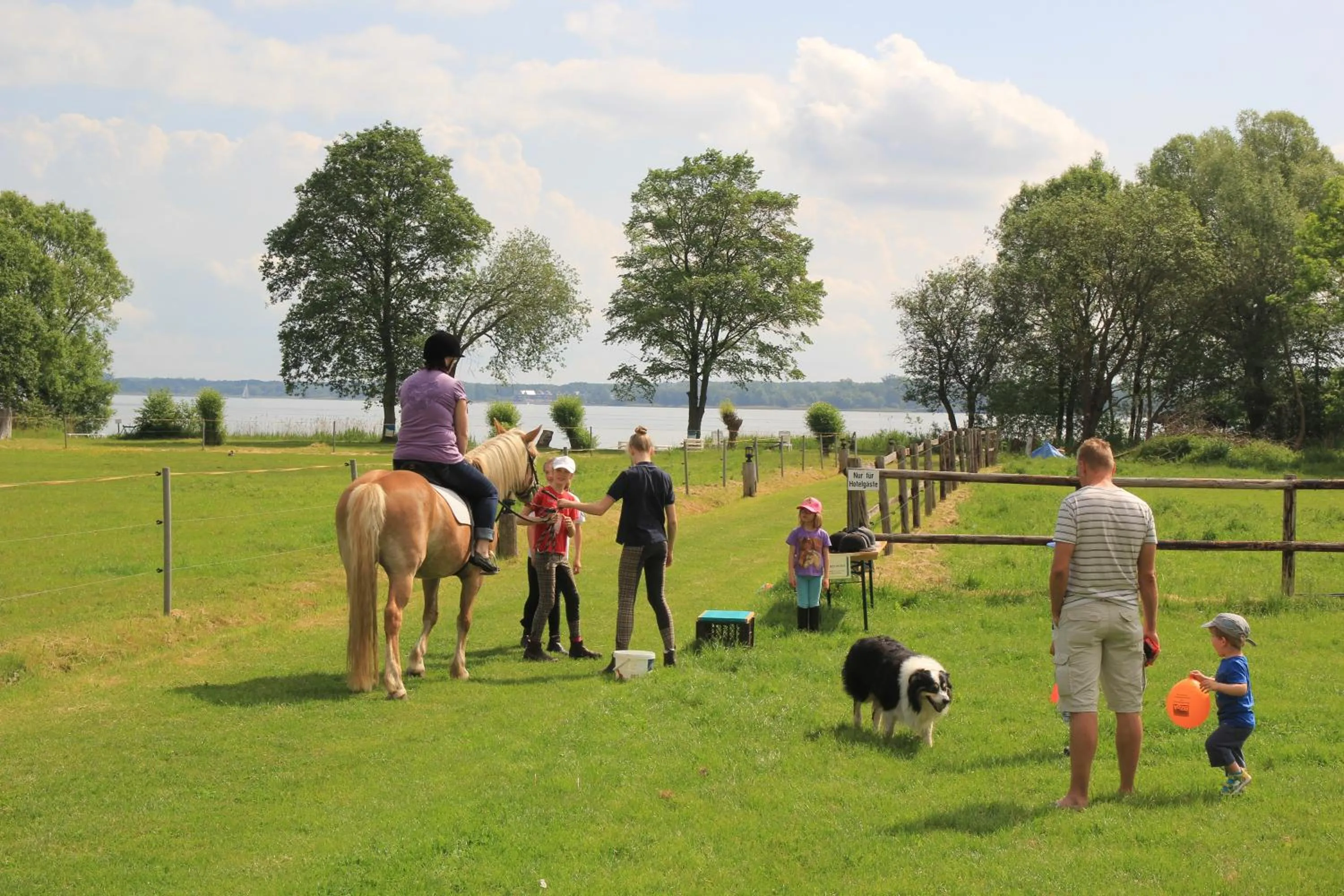 Horse-riding in Flair Seehotel Zielow