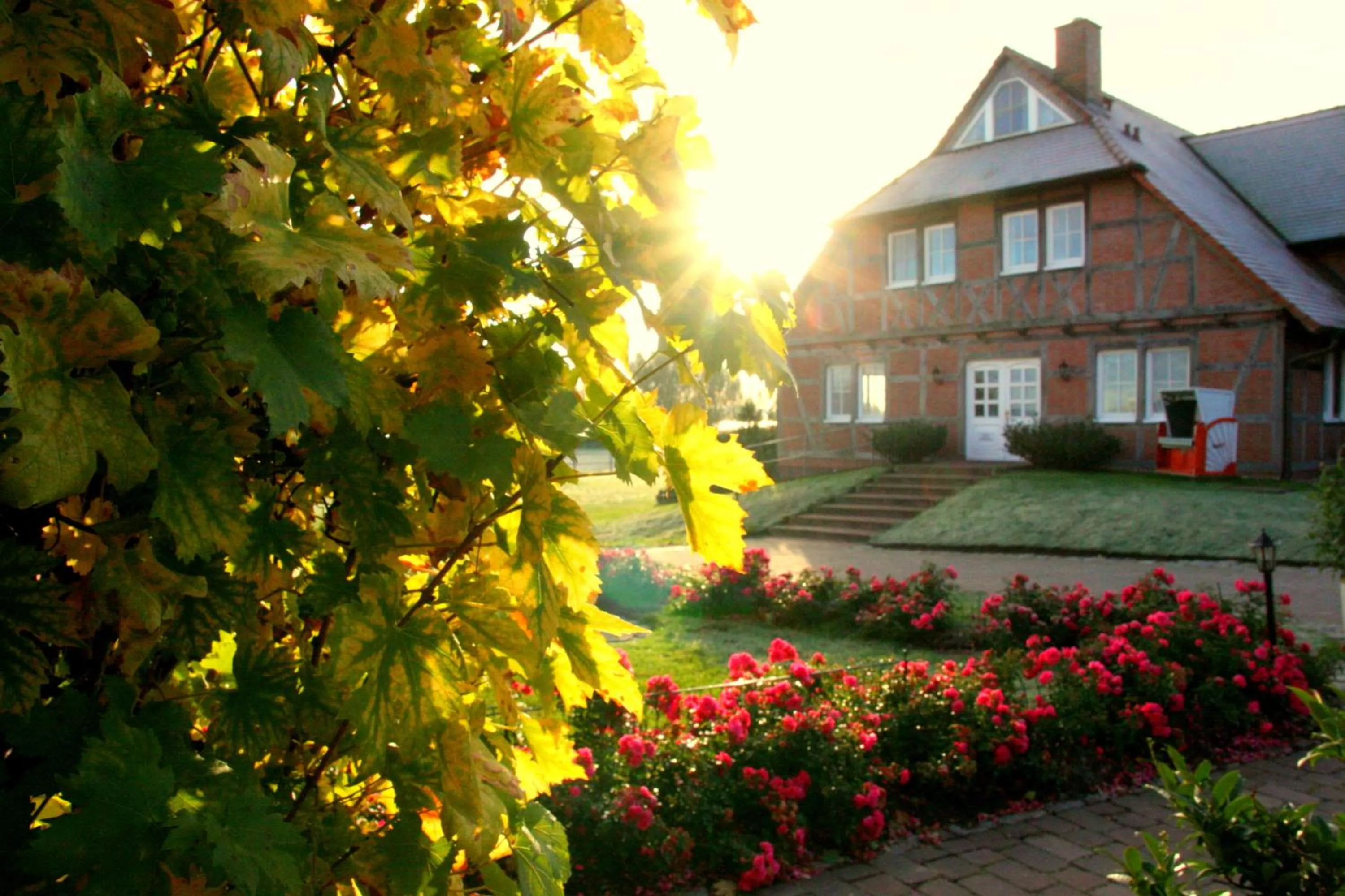 Balcony/Terrace in Flair Seehotel Zielow