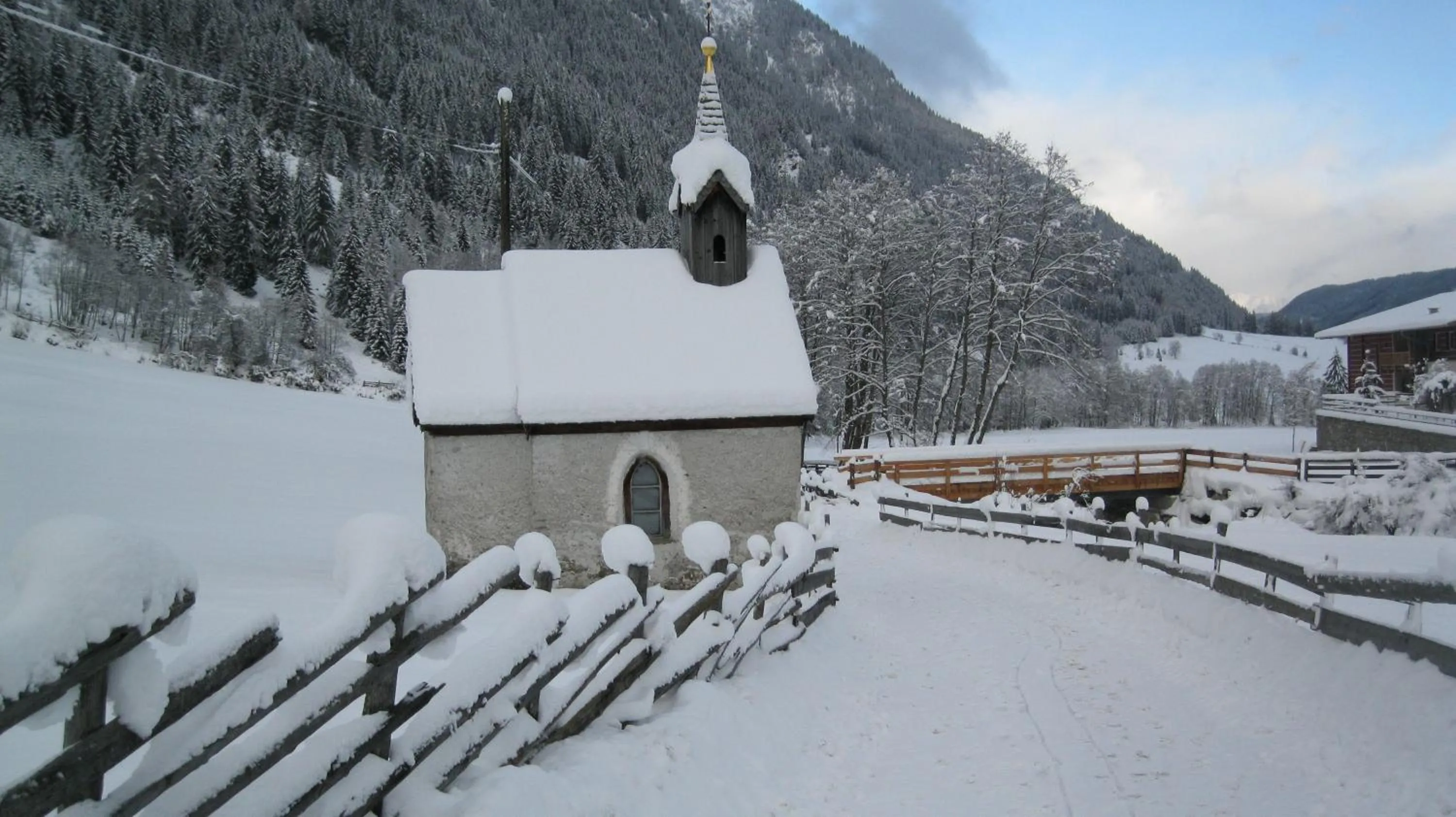 Area and facilities in Hotel Larch
