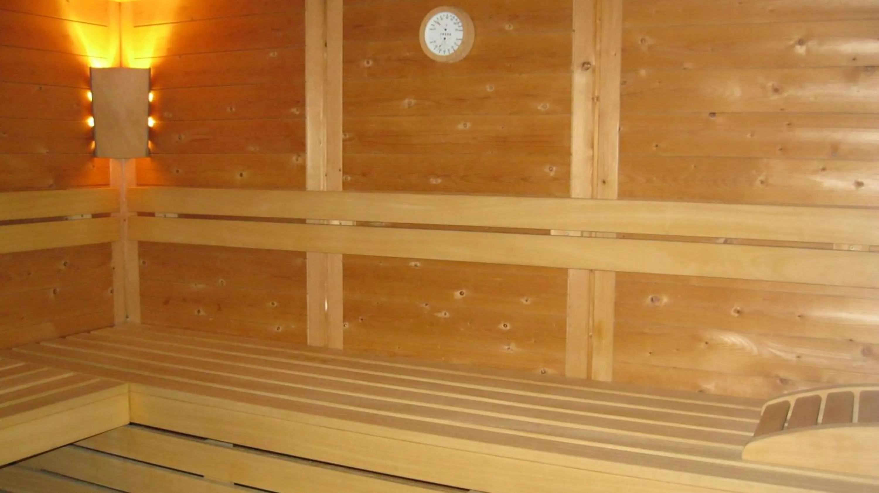 Spa and wellness centre/facilities in Hotel Larch