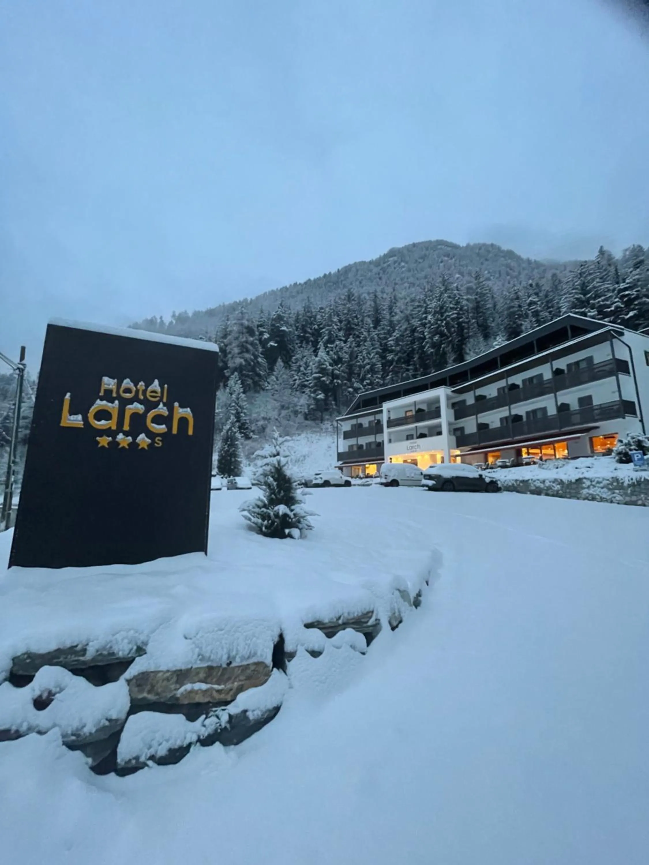 Winter in Hotel Larch