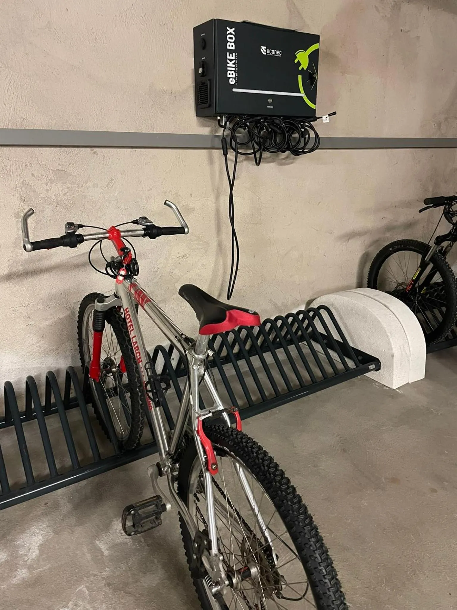 Cycling in Hotel Larch