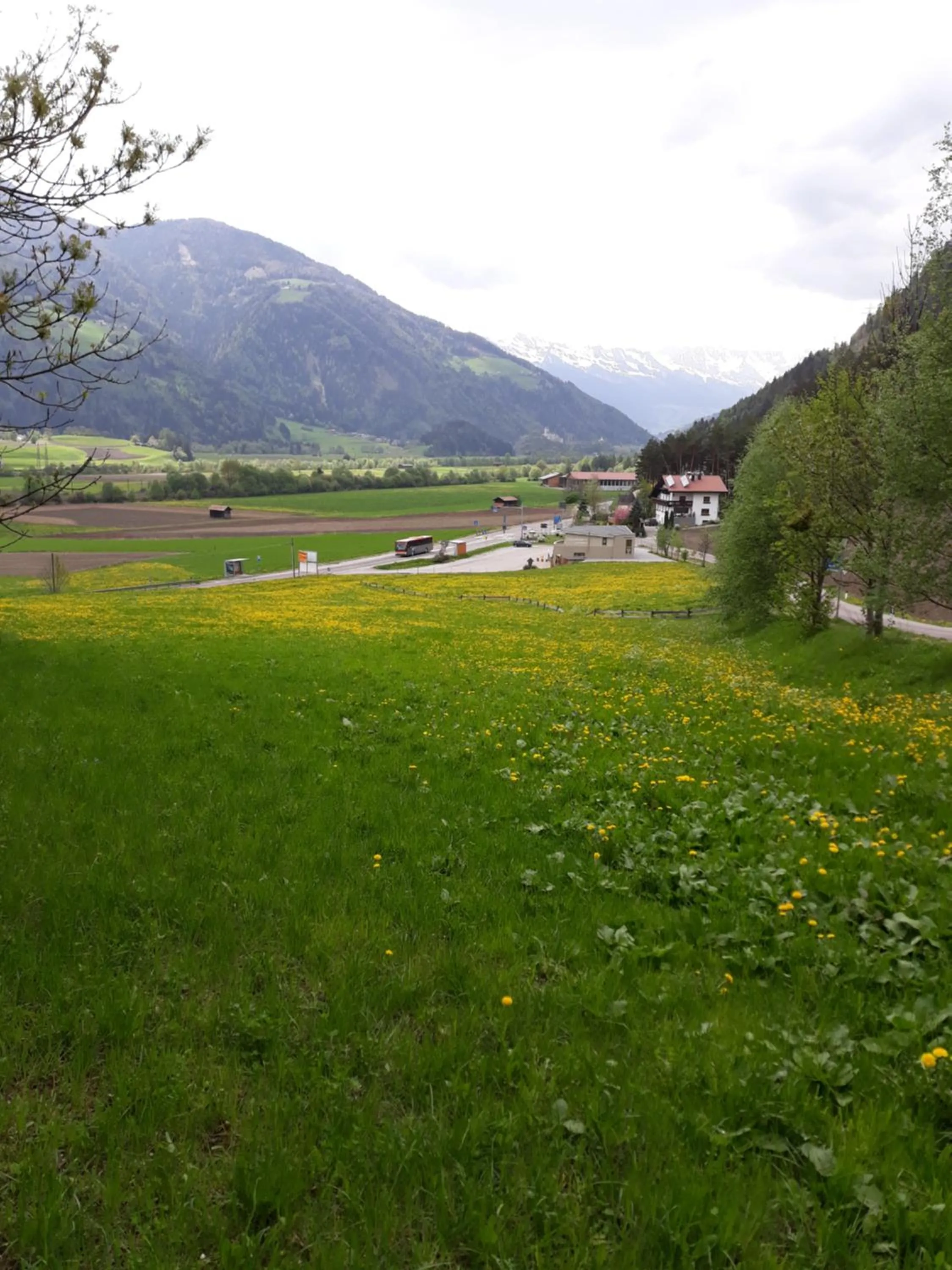 Natural landscape in Hotel Larch