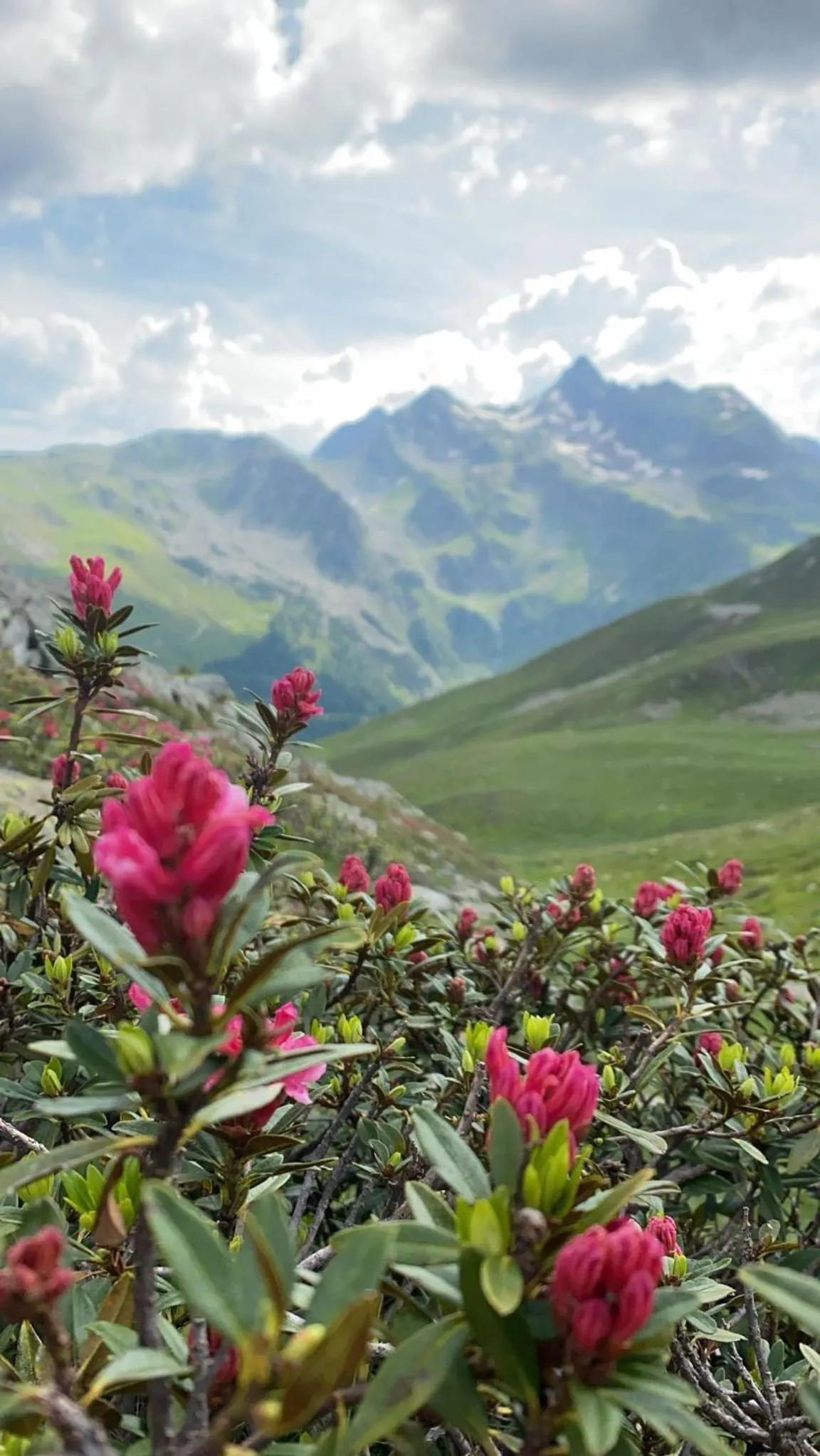 Mountain view in Hotel Larch
