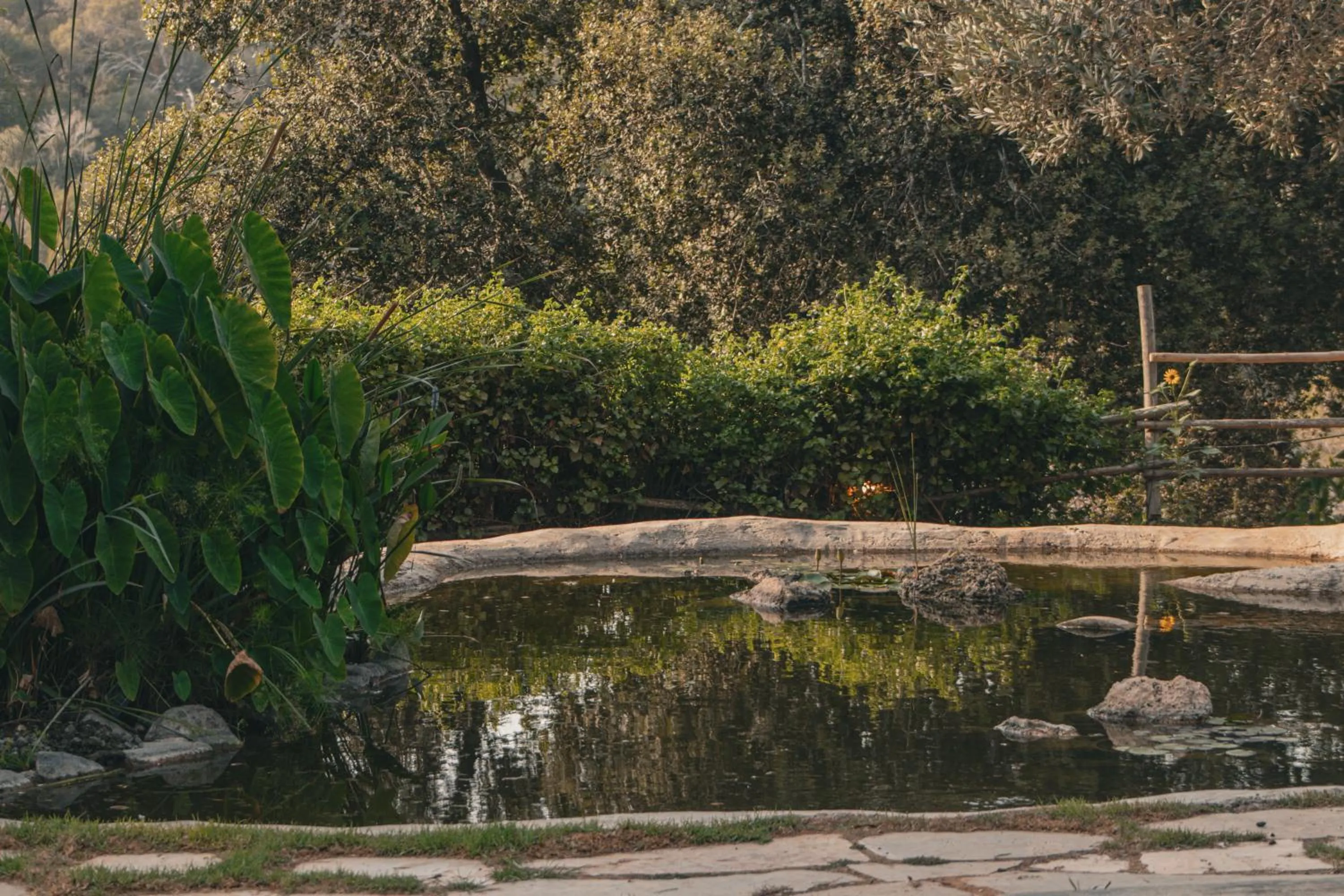 Lake view in Beit Oren Hotel
