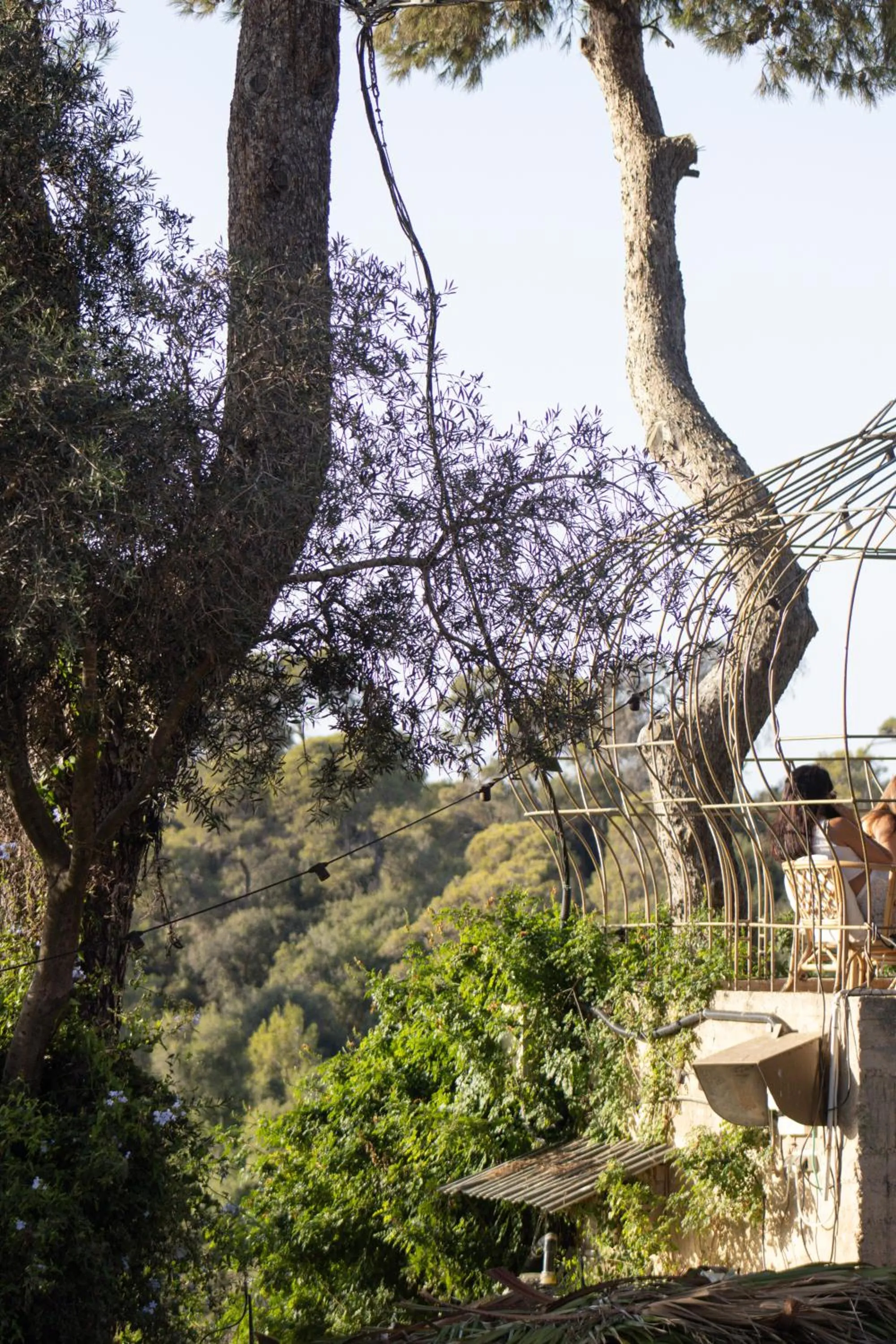 Garden in Beit Oren Hotel