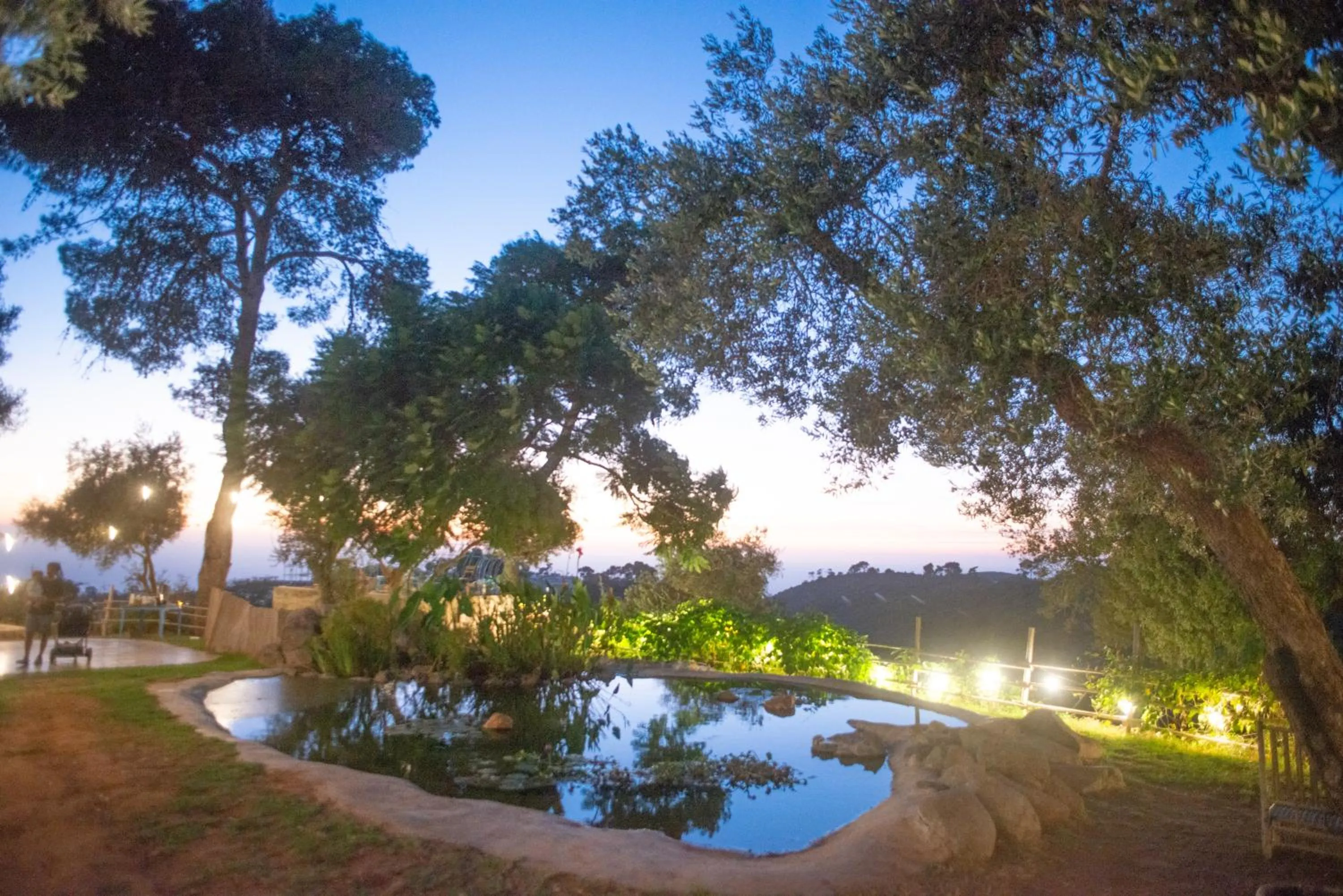 Natural landscape in Beit Oren Hotel