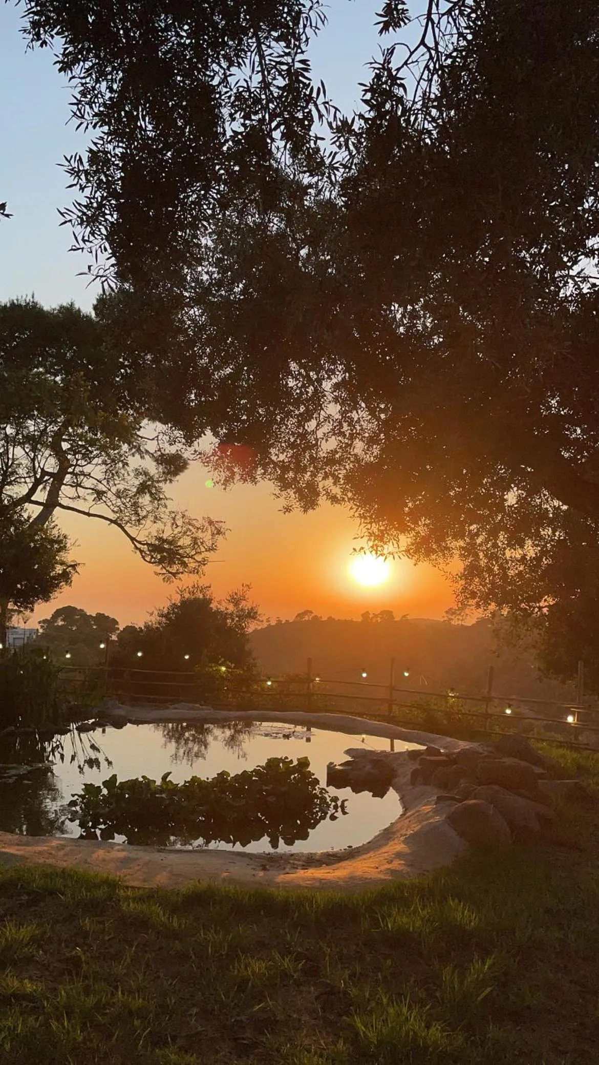 Natural landscape in Beit Oren Hotel