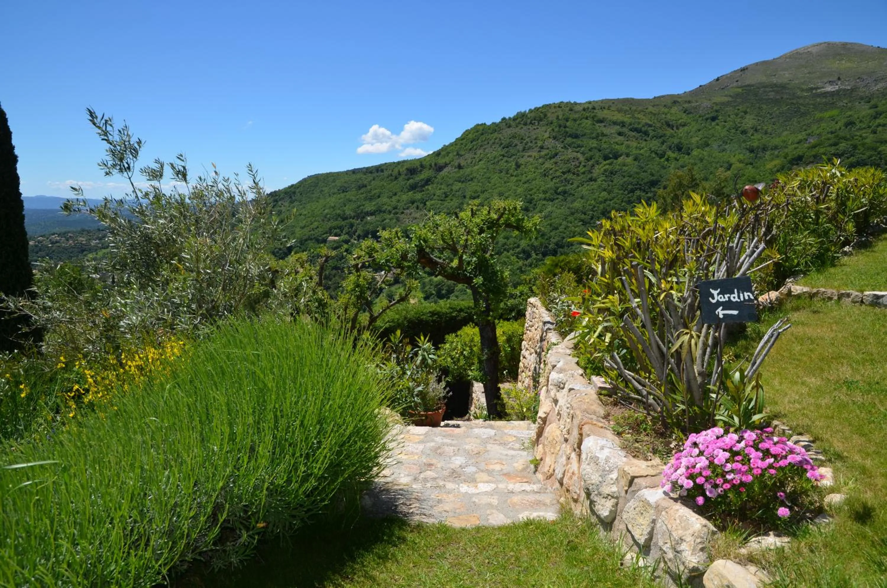 Garden in Gite les Citronniers