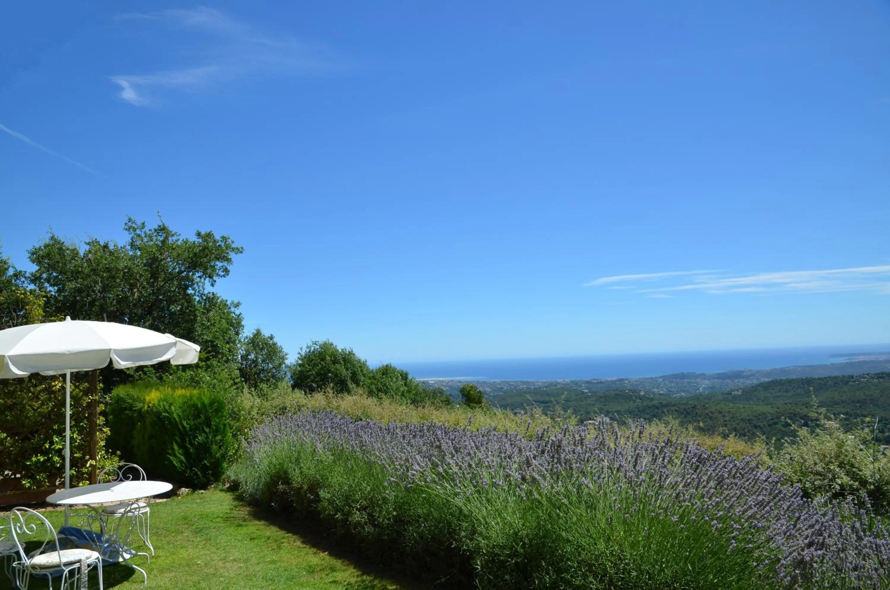 Garden in Gite les Citronniers