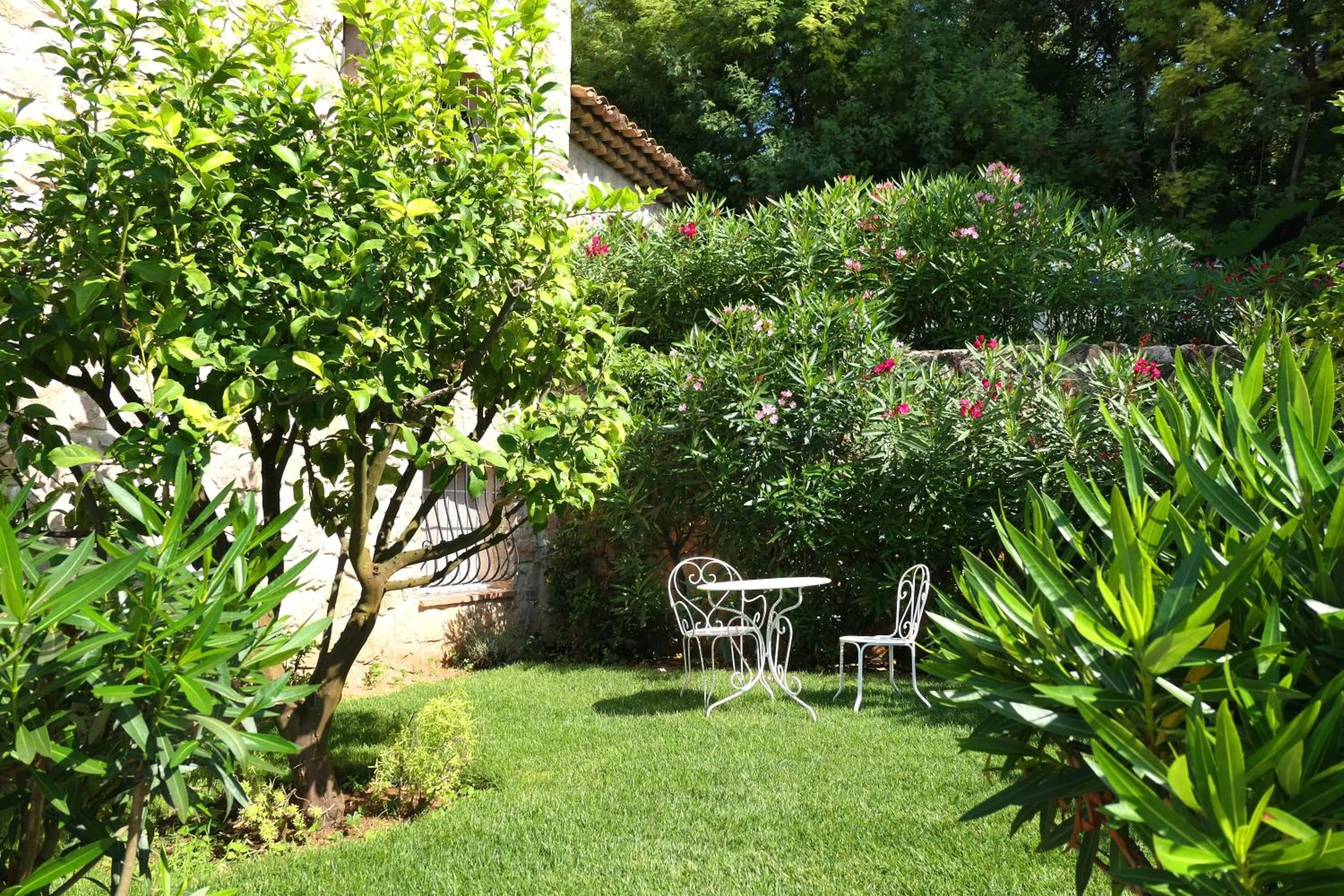 Garden in Gite les Citronniers