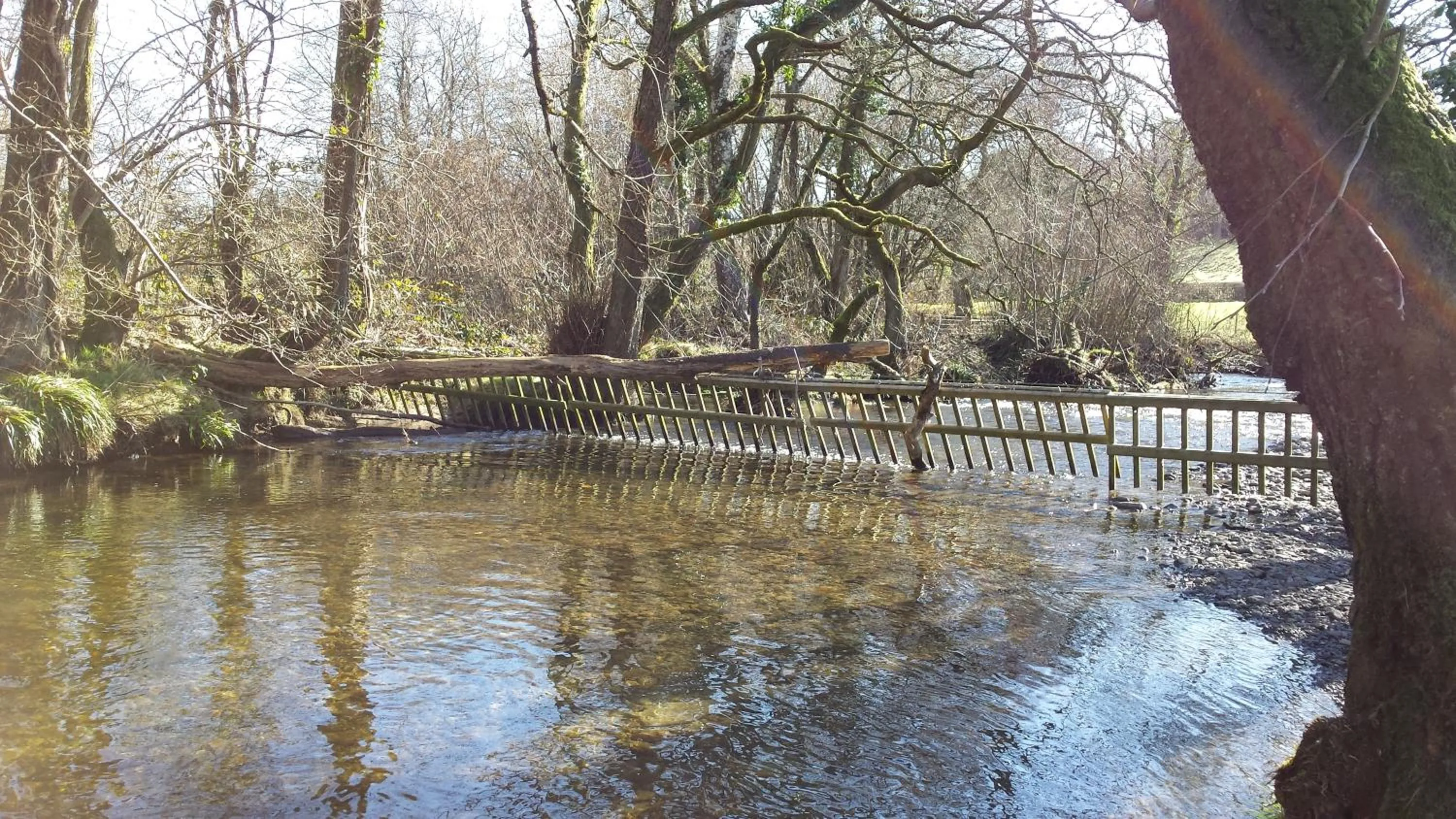Natural landscape in Pwllgwilym B & B