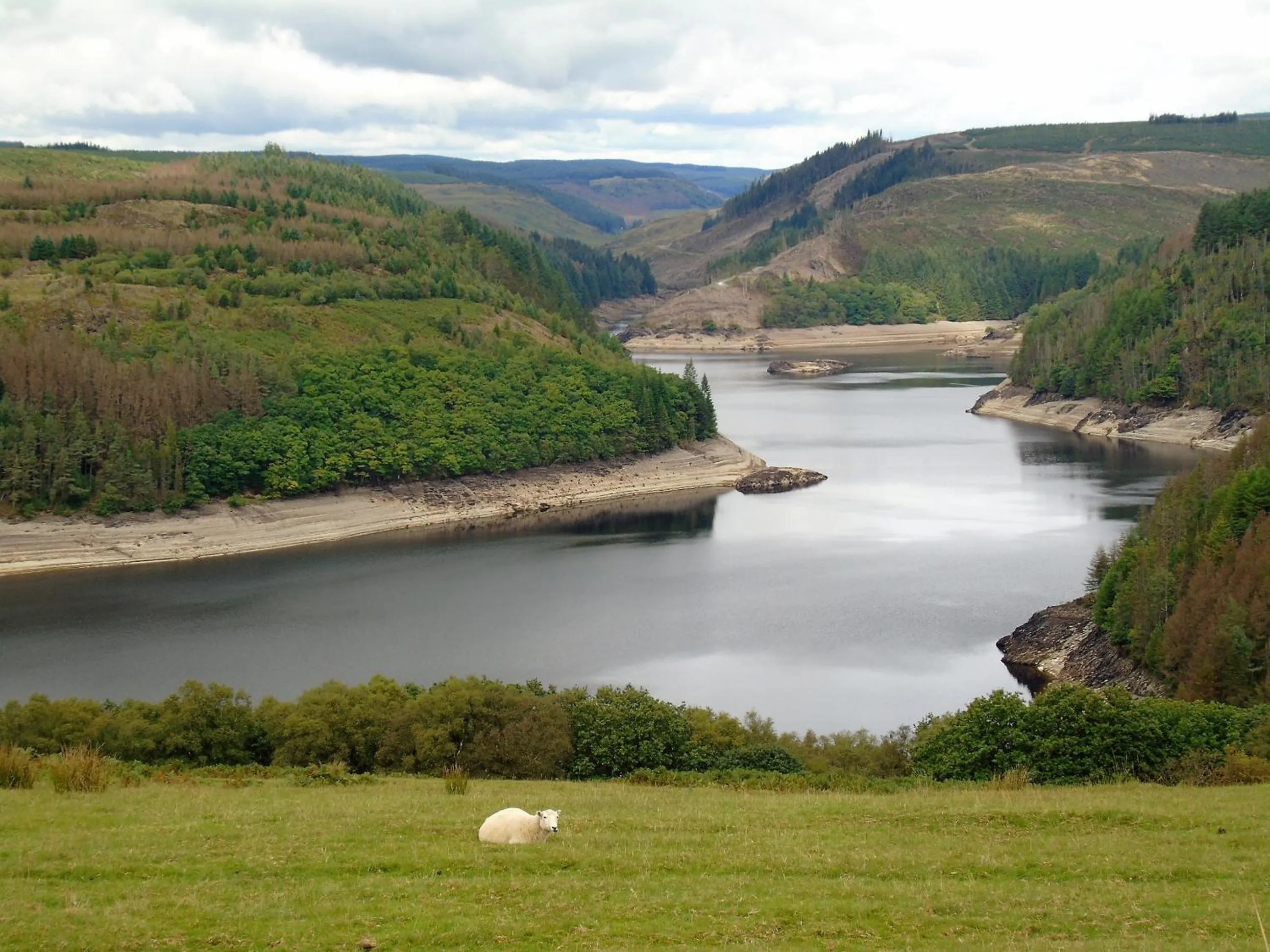 Natural landscape in Pwllgwilym B & B