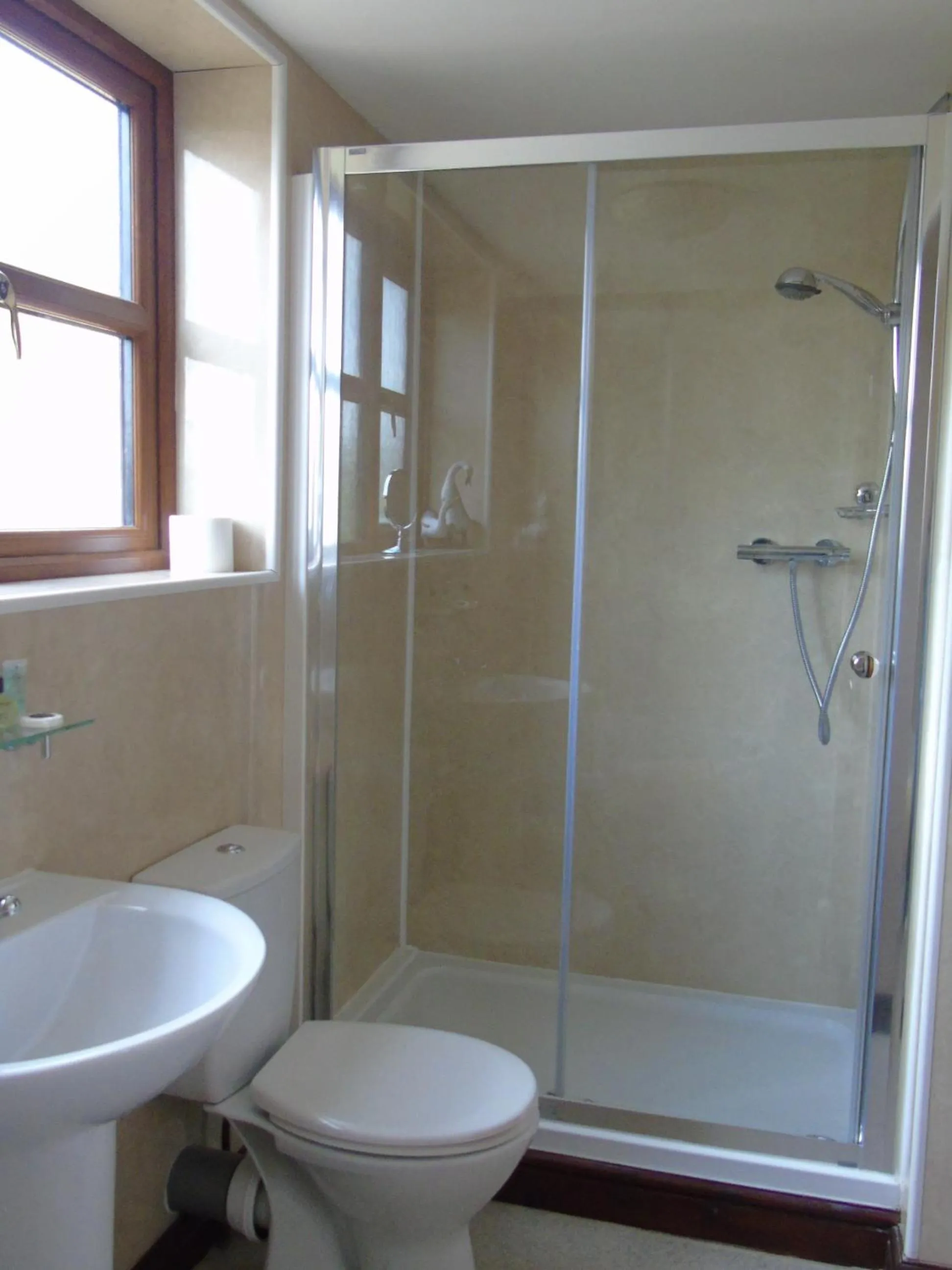 Shower in Pwllgwilym B & B